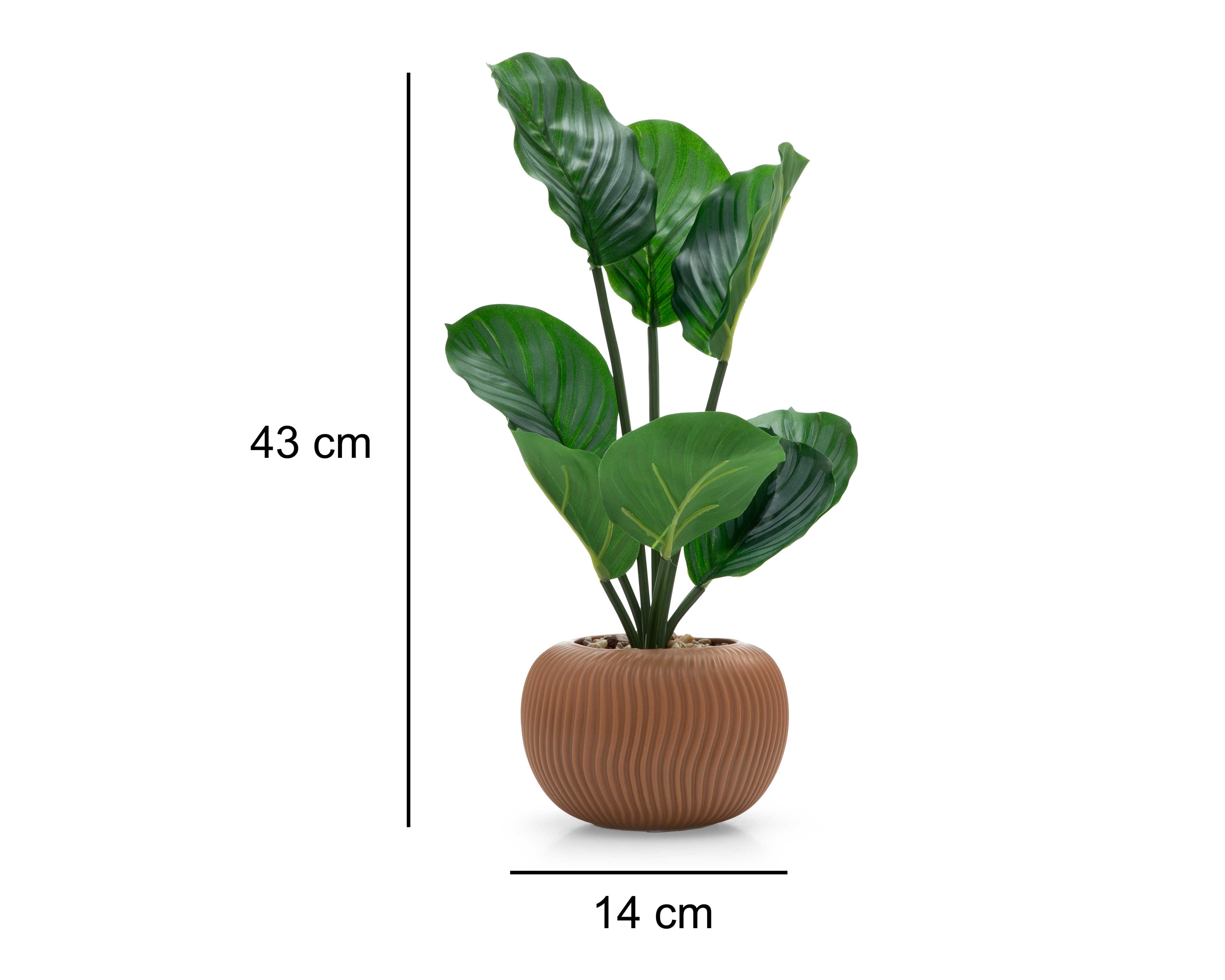 Foto 5 | Foto 5 | Calathea Artificial con Maceta Starhaus 43 cm