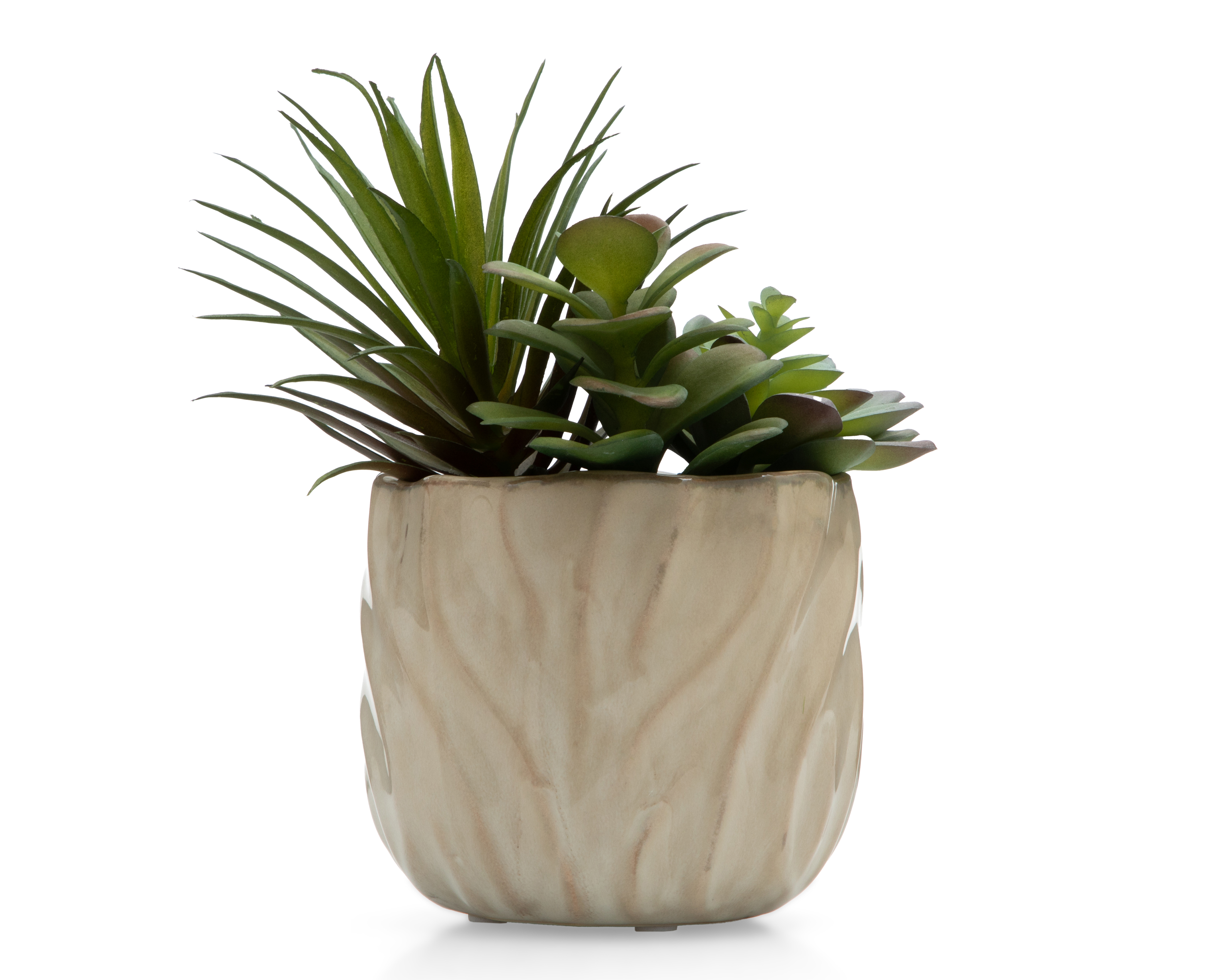 Suculenta Artificial con Maceta Starhaus 20 cm