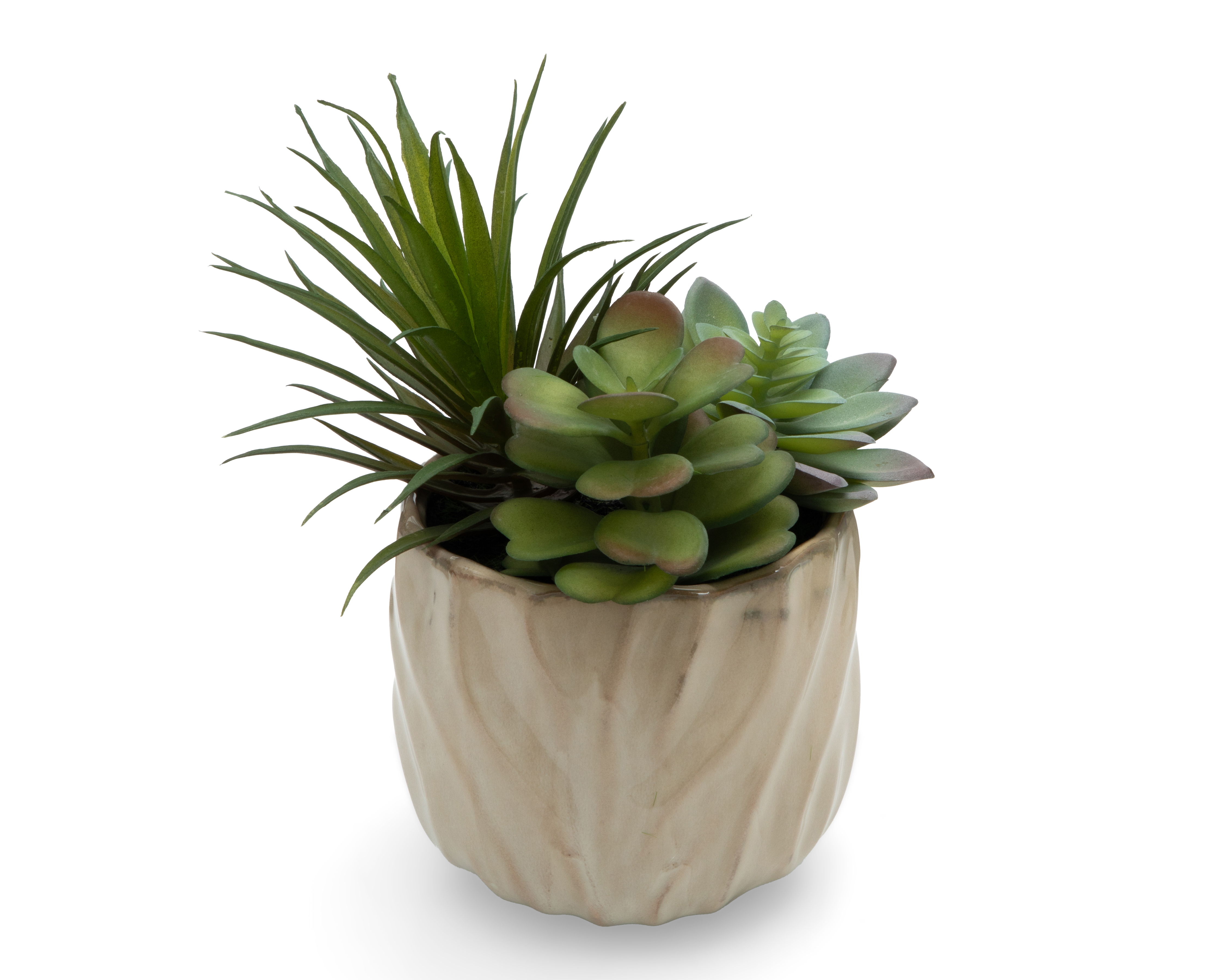Foto 3 pulgar | Foto 2 | Suculenta Artificial con Maceta Starhaus 20 cm