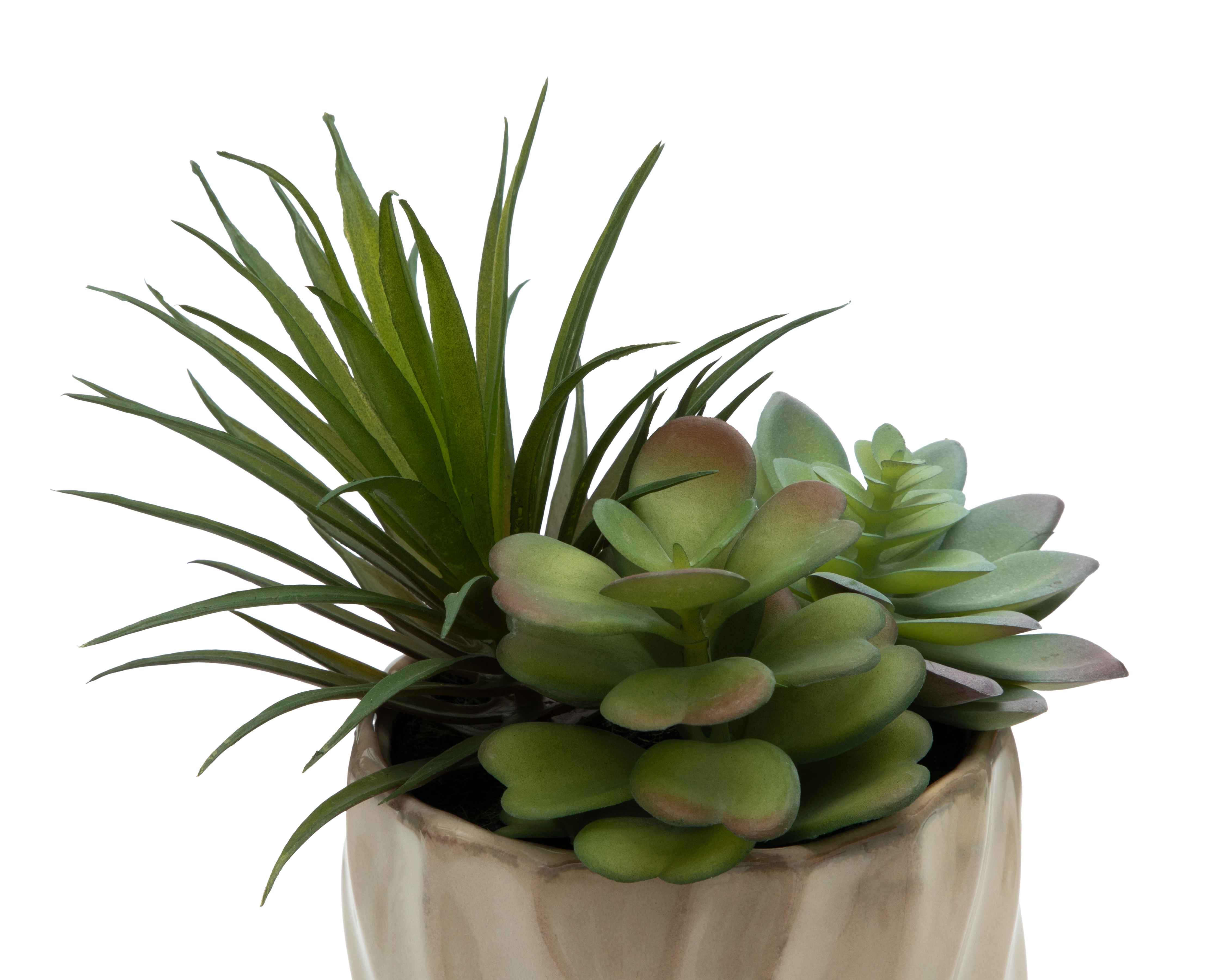 Foto 4 pulgar | Foto 3 | Suculenta Artificial con Maceta Starhaus 20 cm