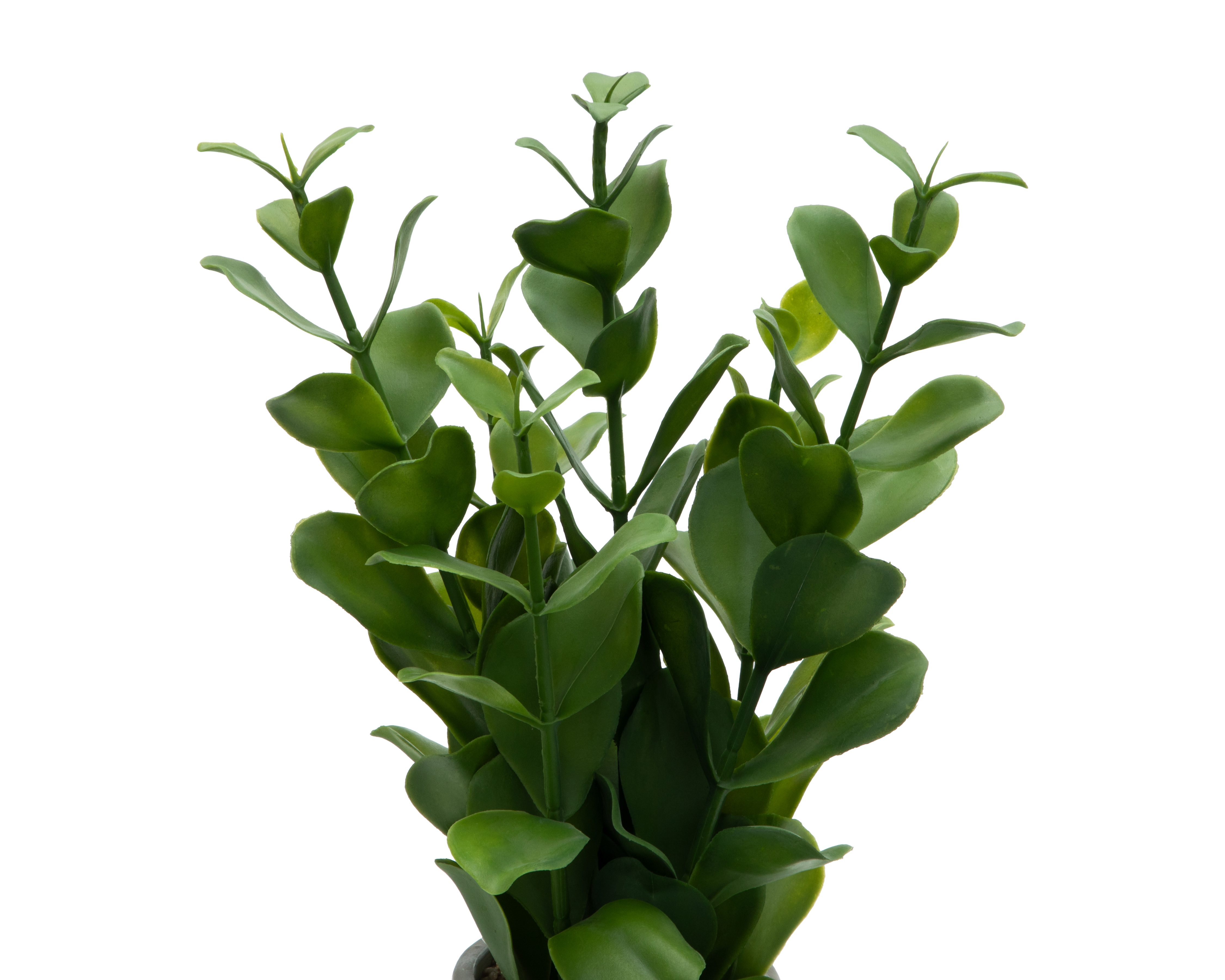 Foto 4 pulgar | Foto 3 | Ficus Artificial con Maceta Starhaus 50 cm