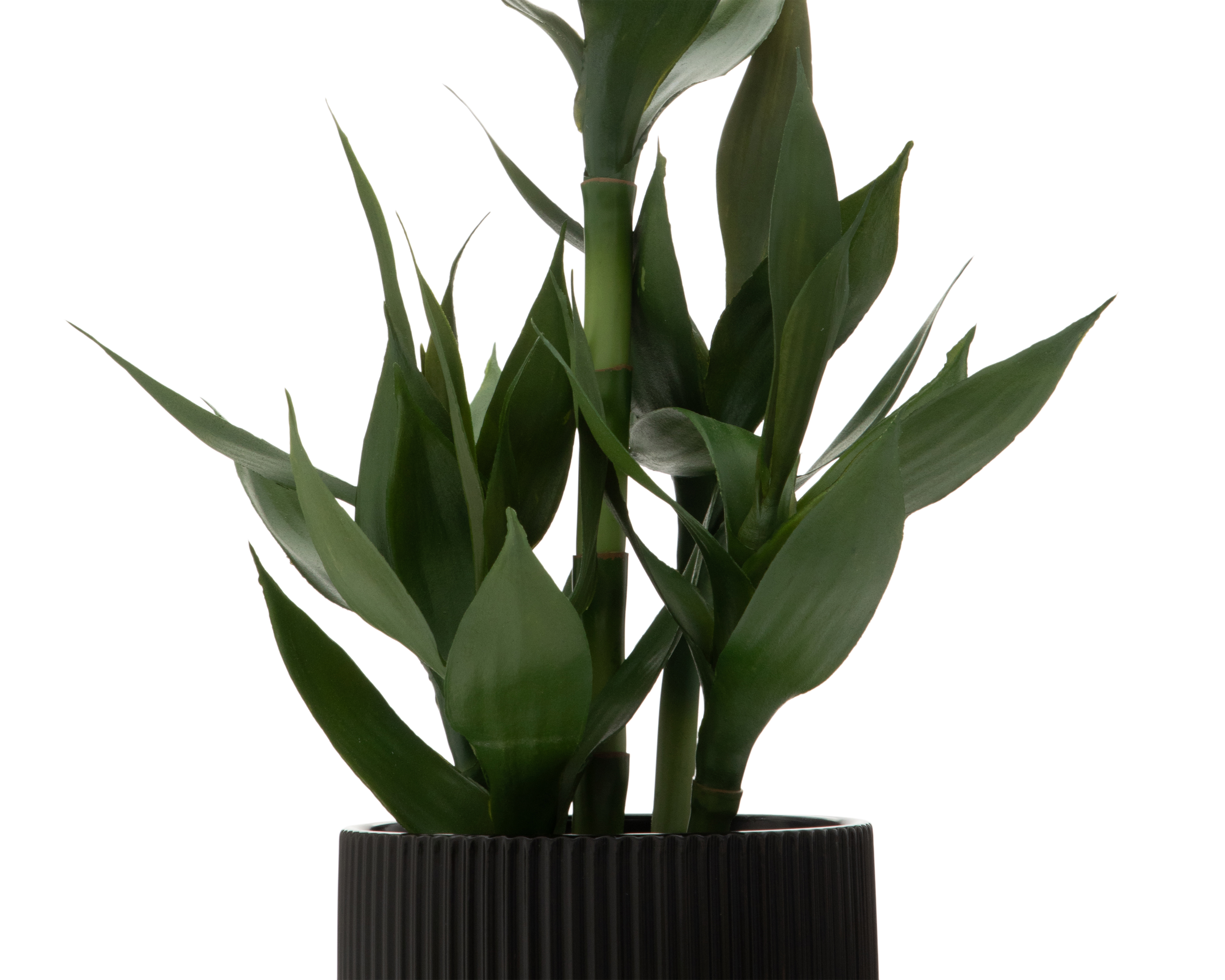 Foto 4 pulgar | Foto 3 | Bambú Artificial Starhaus Medina 66.5 cm