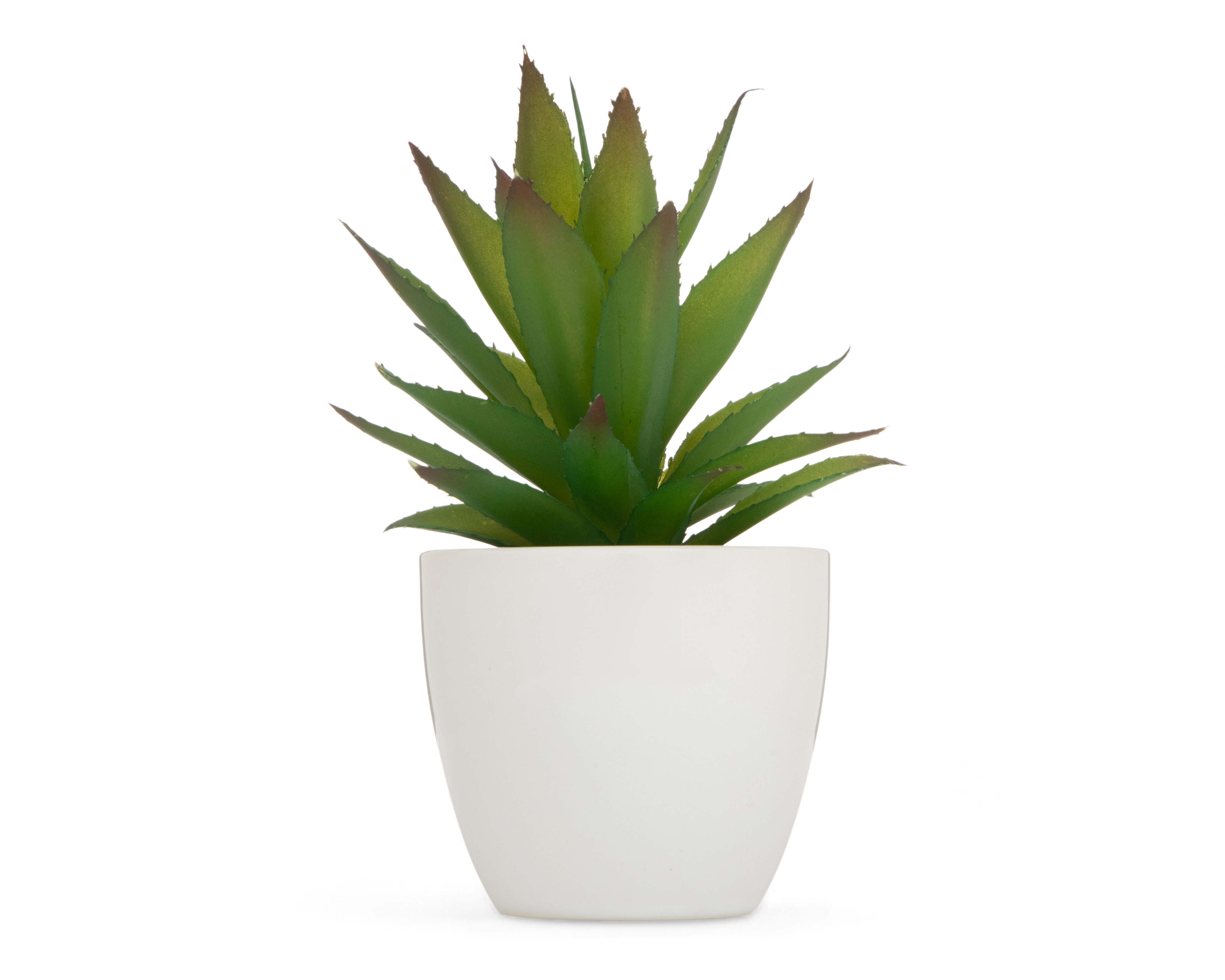 Suculenta Artificial con Maceta Starhaus 17 cm