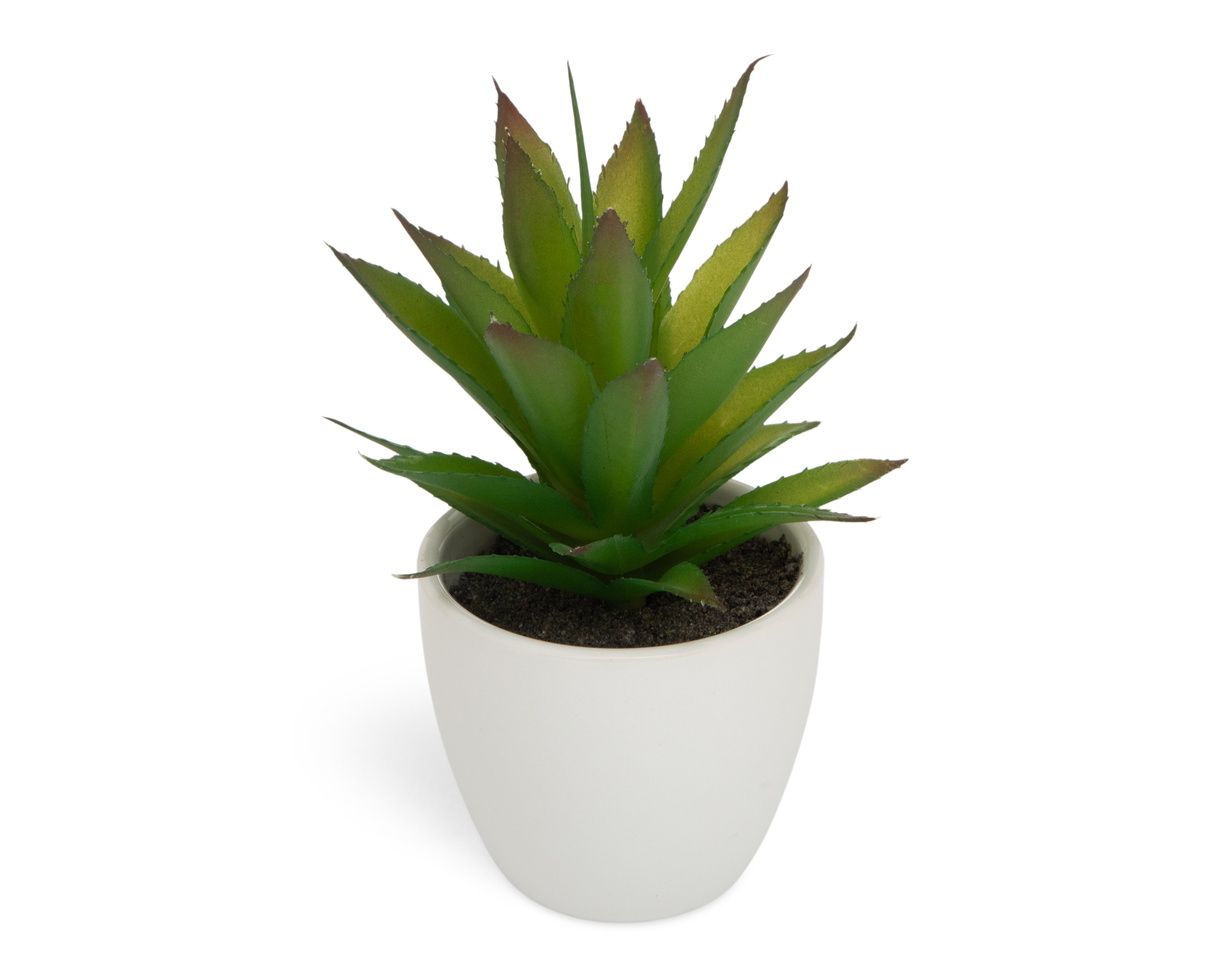 Foto 3 pulgar | Foto 2 | Suculenta Artificial con Maceta Starhaus 17 cm