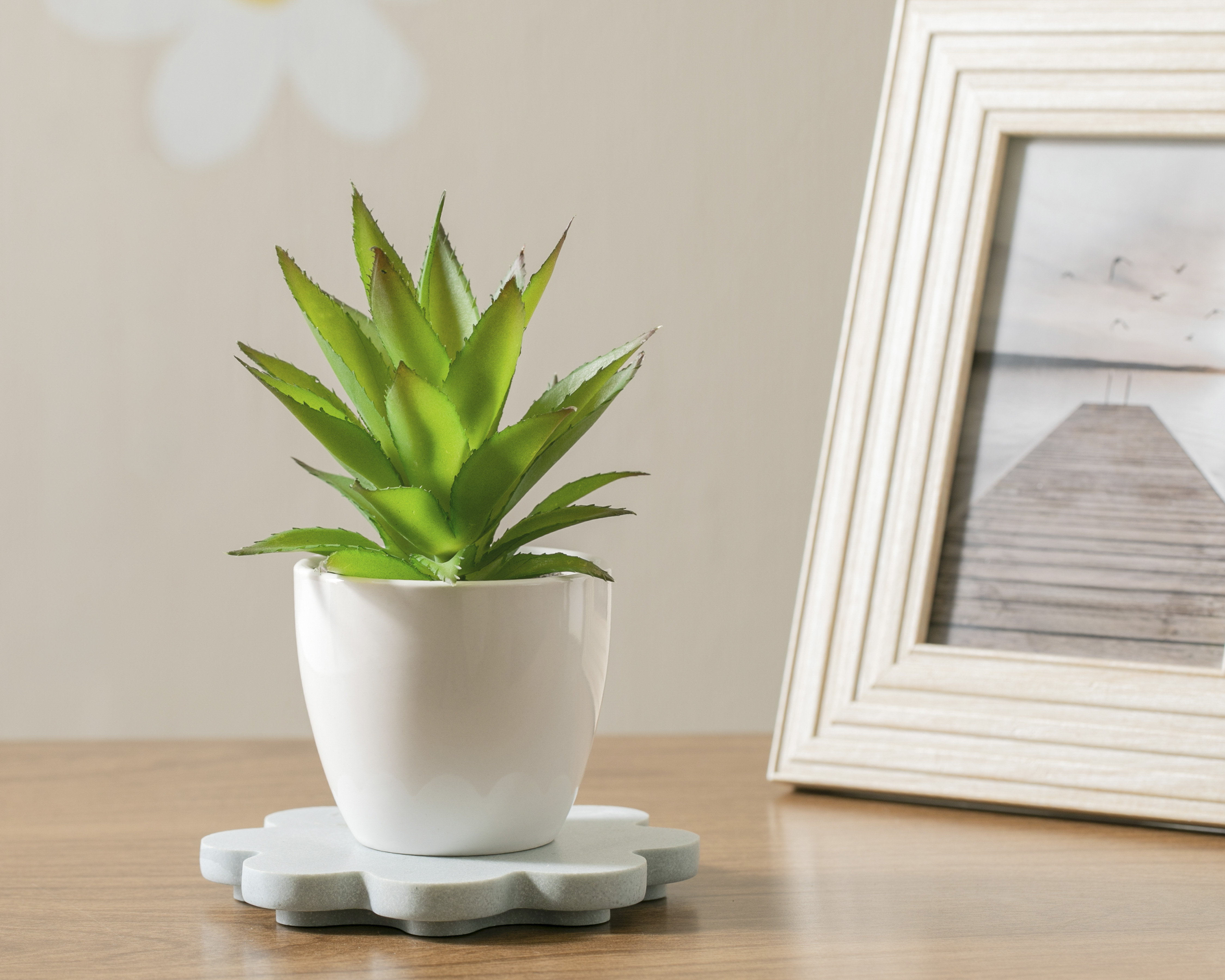 Foto 4 | Foto 4 | Suculenta Artificial con Maceta Starhaus 17 cm