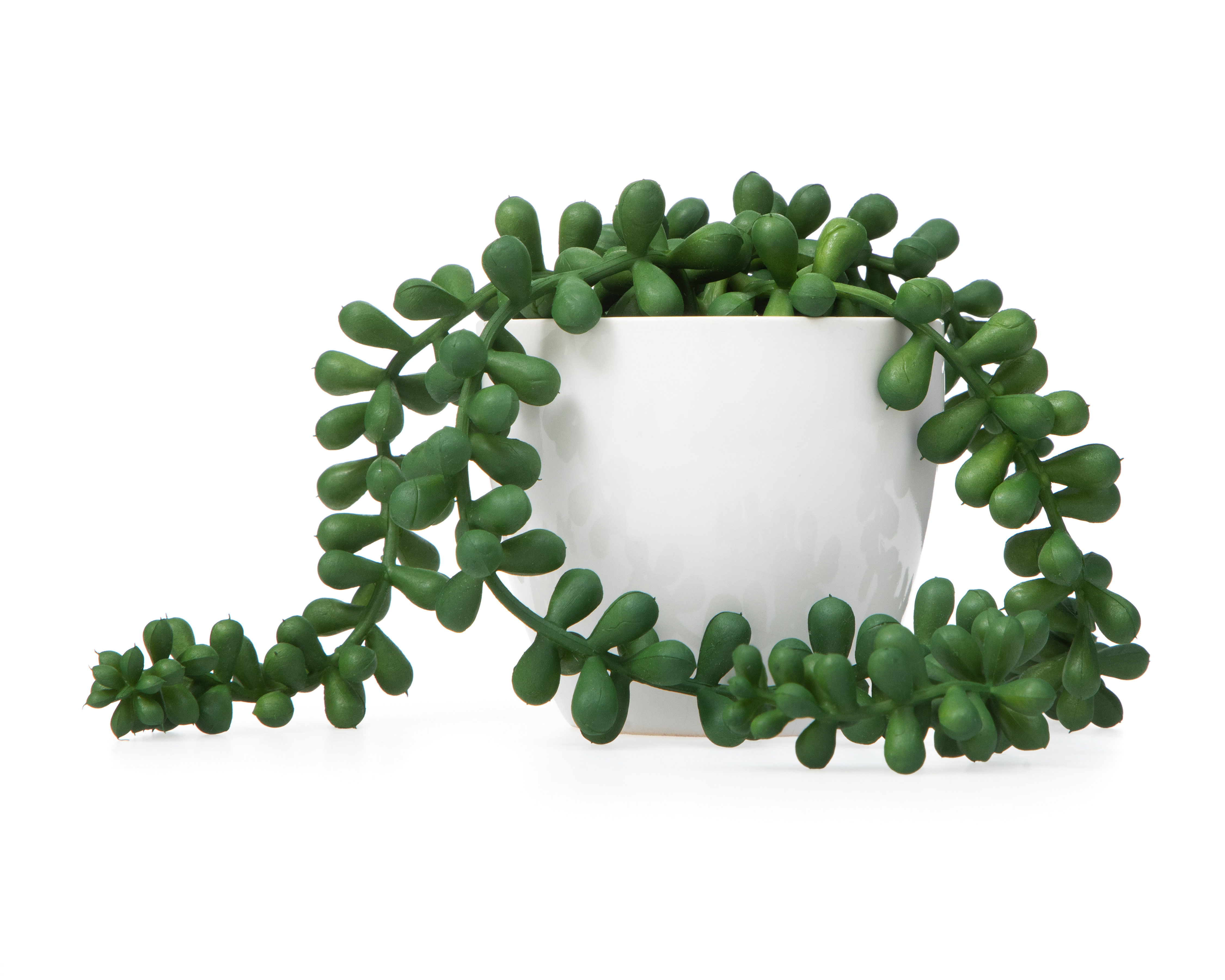 Foto 2 pulgar | Foto 1 | Suculenta Artificial Starhaus Brome 10 cm