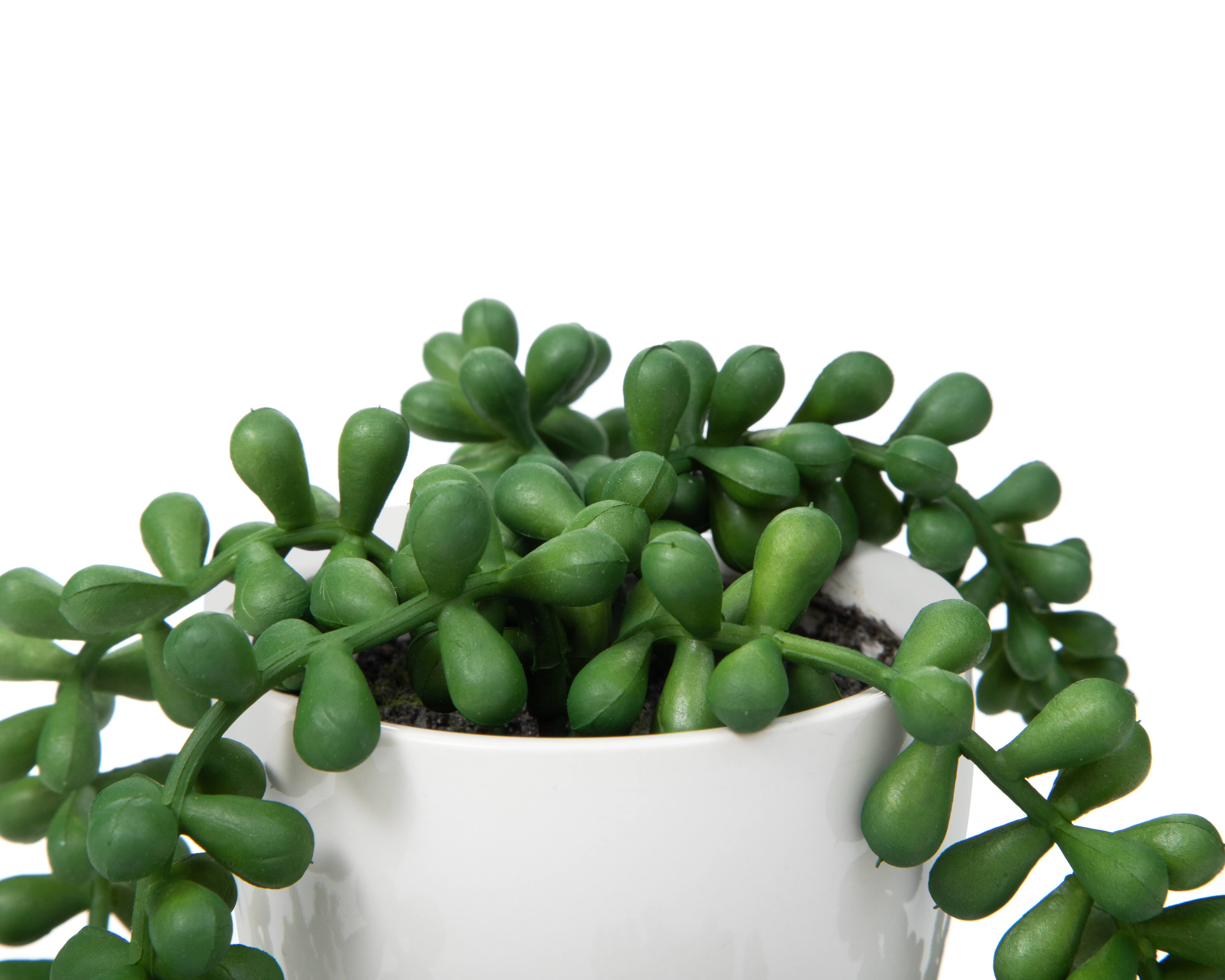 Foto 4 pulgar | Foto 3 | Suculenta Artificial Starhaus Brome 10 cm