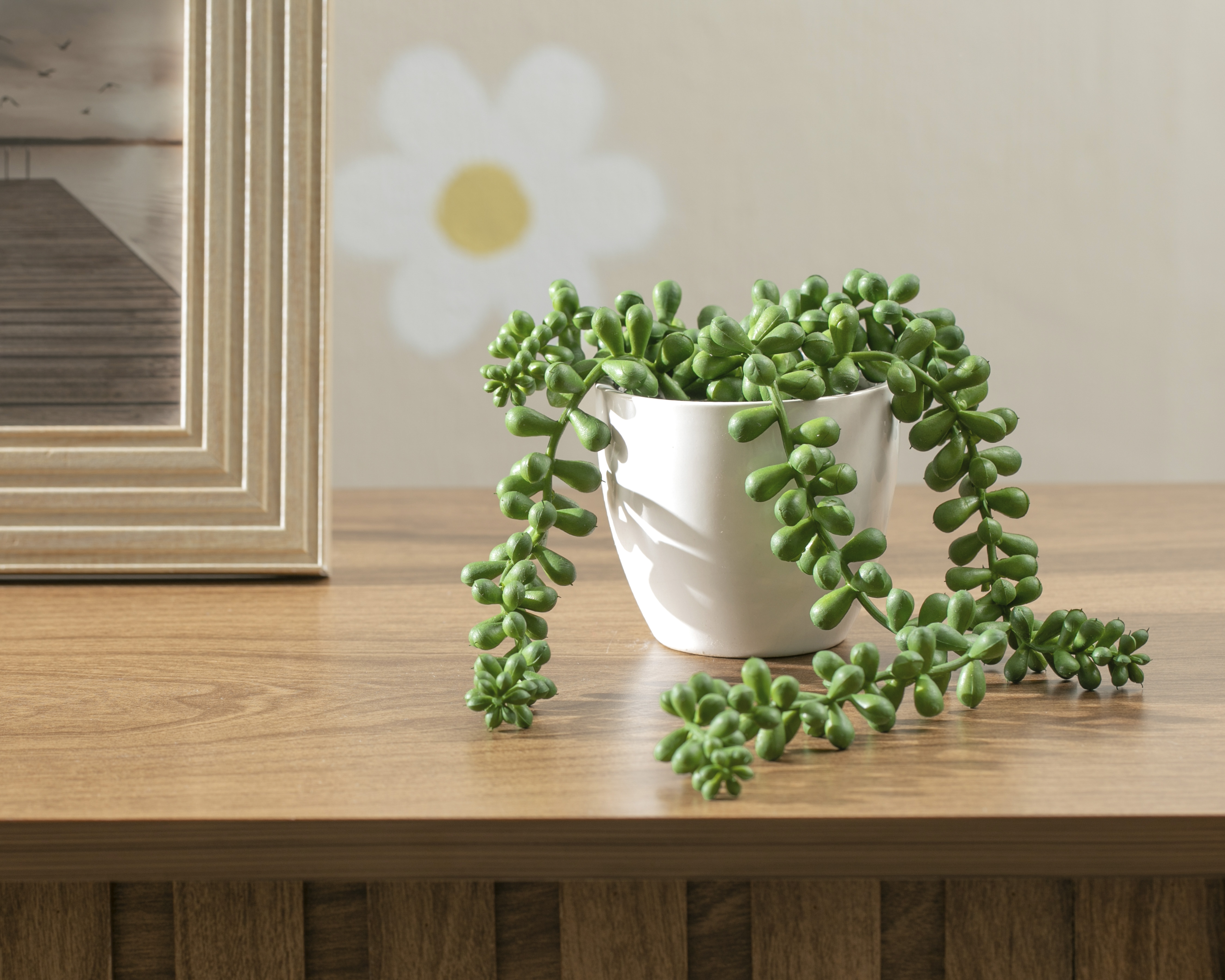 Foto 4 | Foto 4 | Suculenta Artificial Starhaus Brome 10 cm