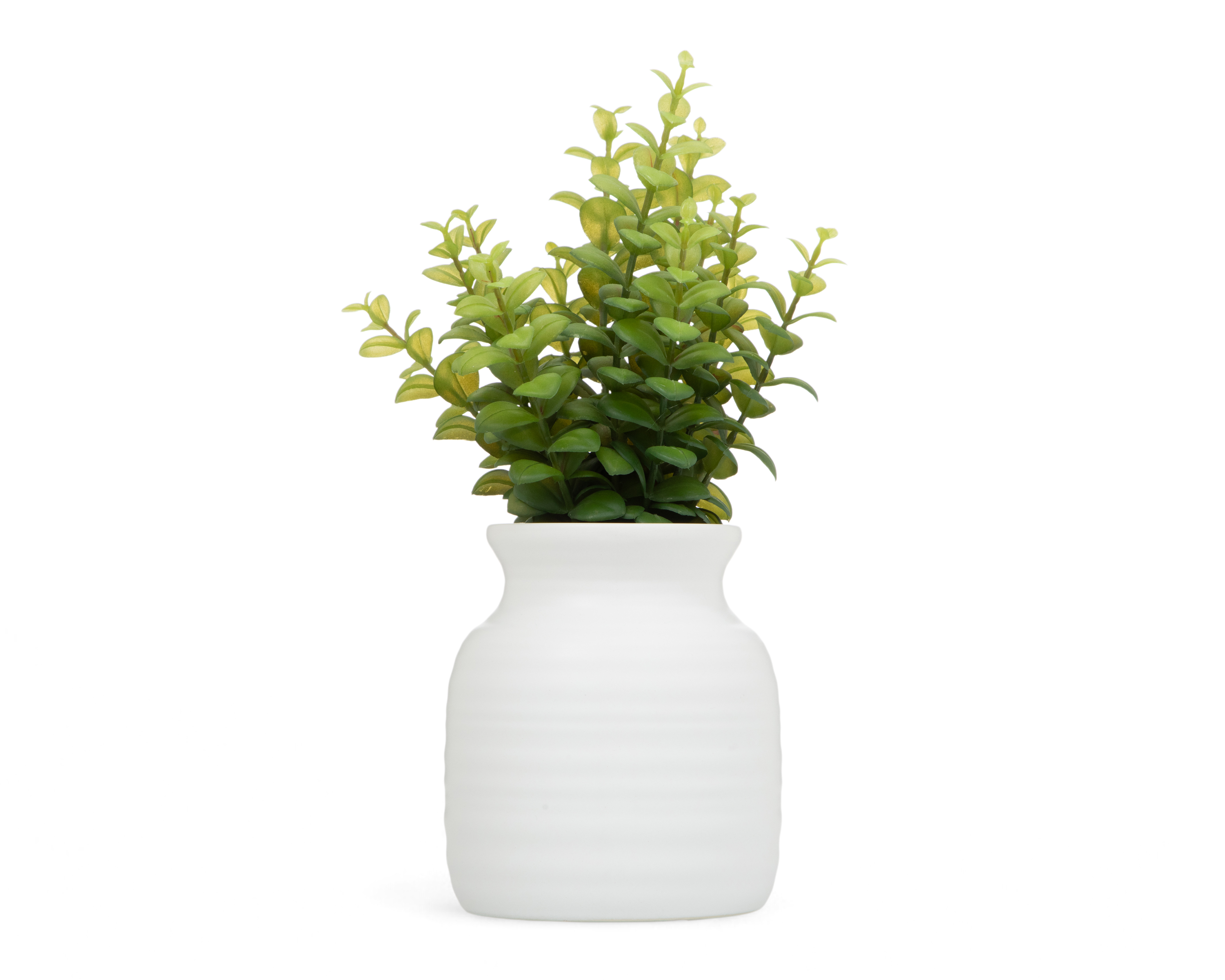 Foto 1 | Foto 1 | Suculenta Artificial con Maceta Starhaus 34 cm