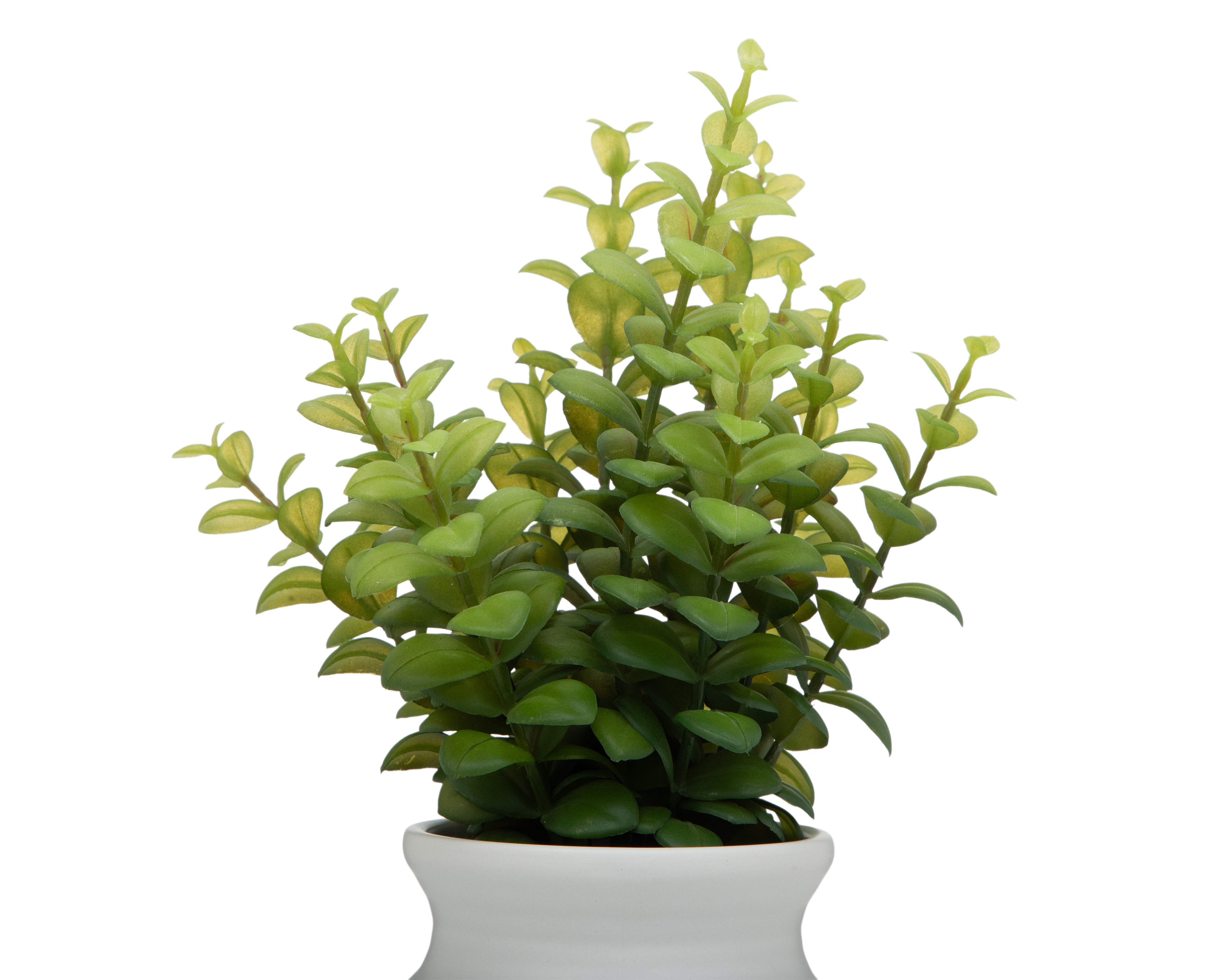 Foto 3 | Foto 3 | Suculenta Artificial con Maceta Starhaus 34 cm