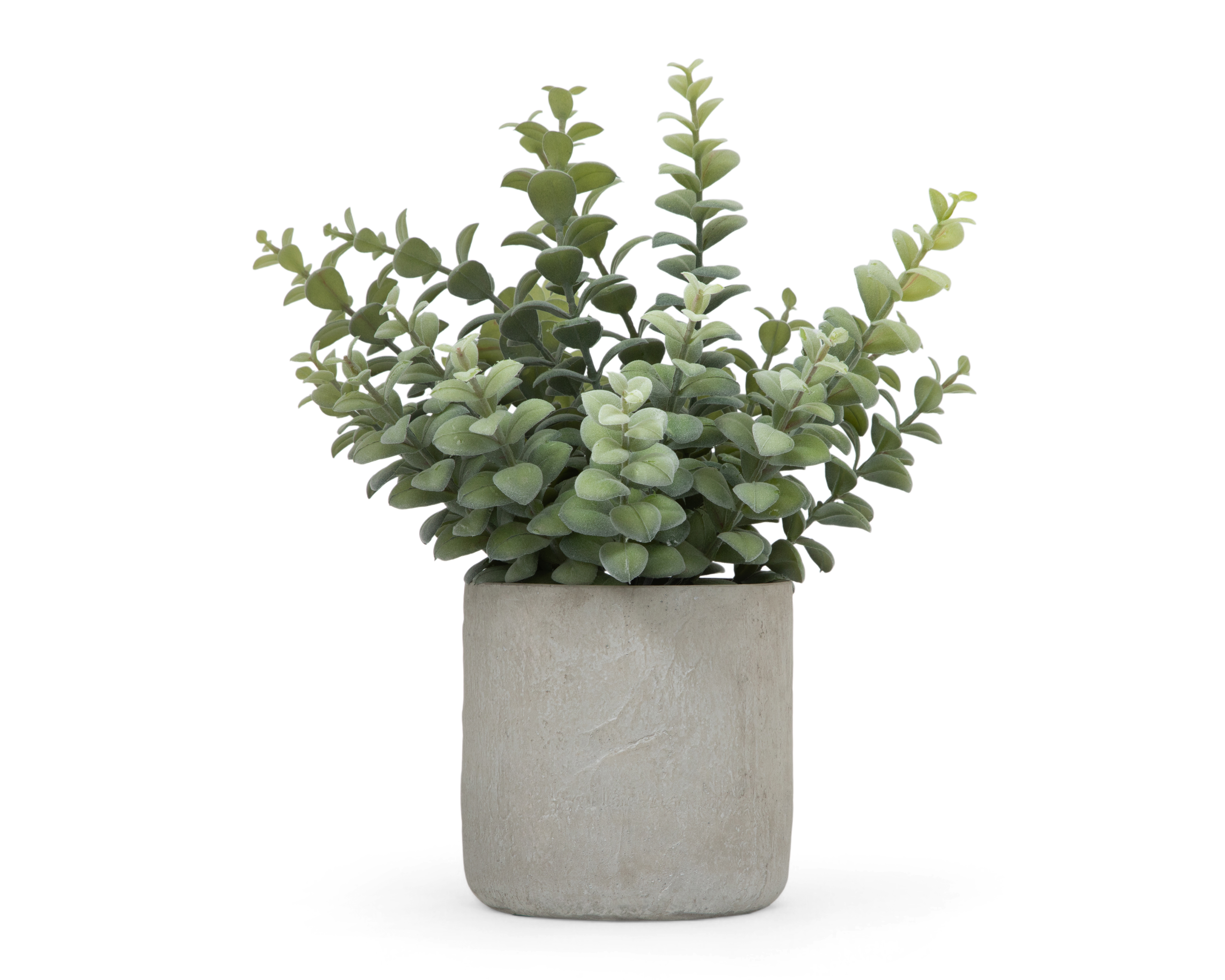 Foto 1 | Foto 1 | Suculenta Decorativa con Maceta Starhaus 36 cm