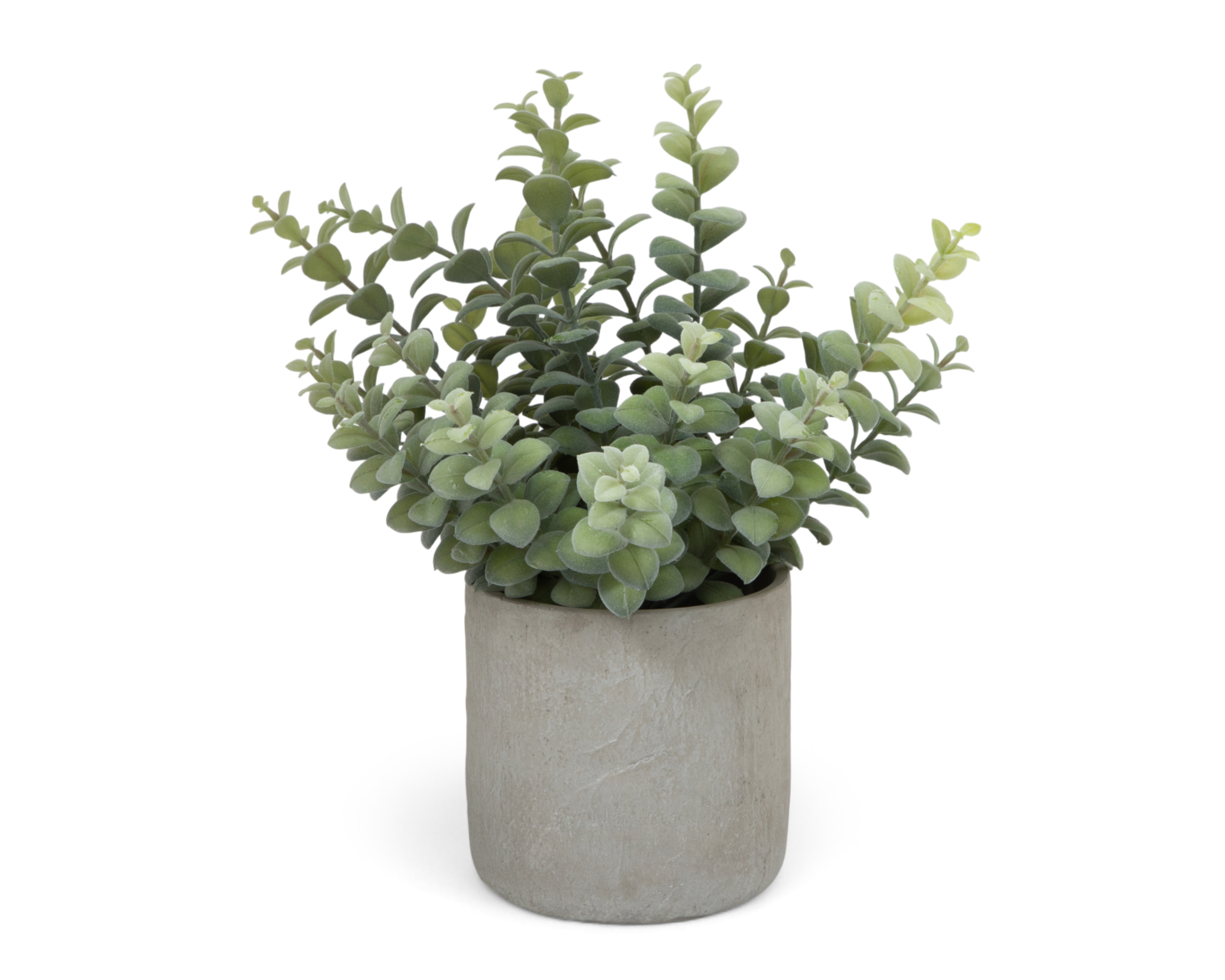 Foto 2 | Foto 2 | Suculenta Decorativa con Maceta Starhaus 36 cm