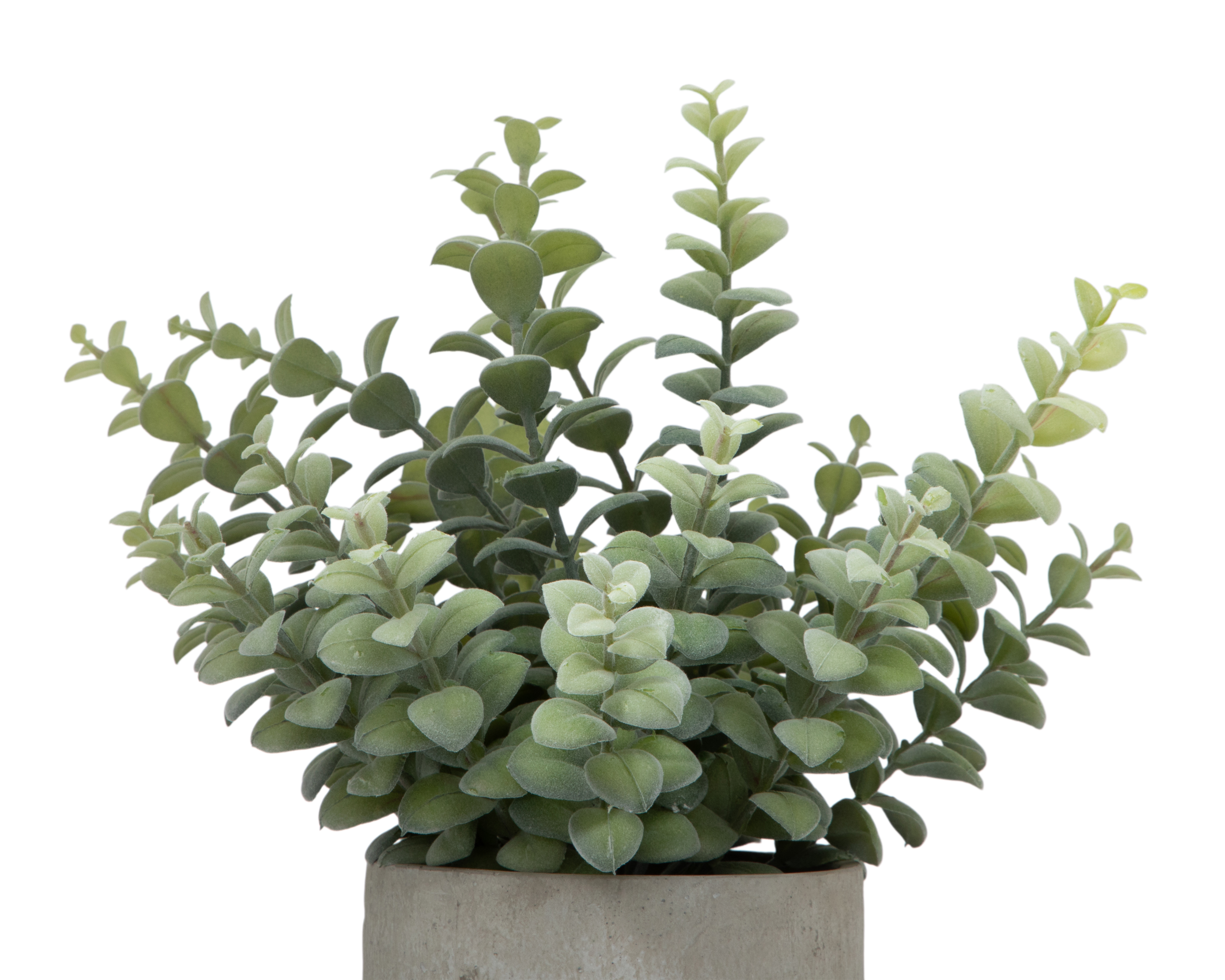 Foto 4 pulgar | Foto 3 | Suculenta Decorativa con Maceta Starhaus 36 cm