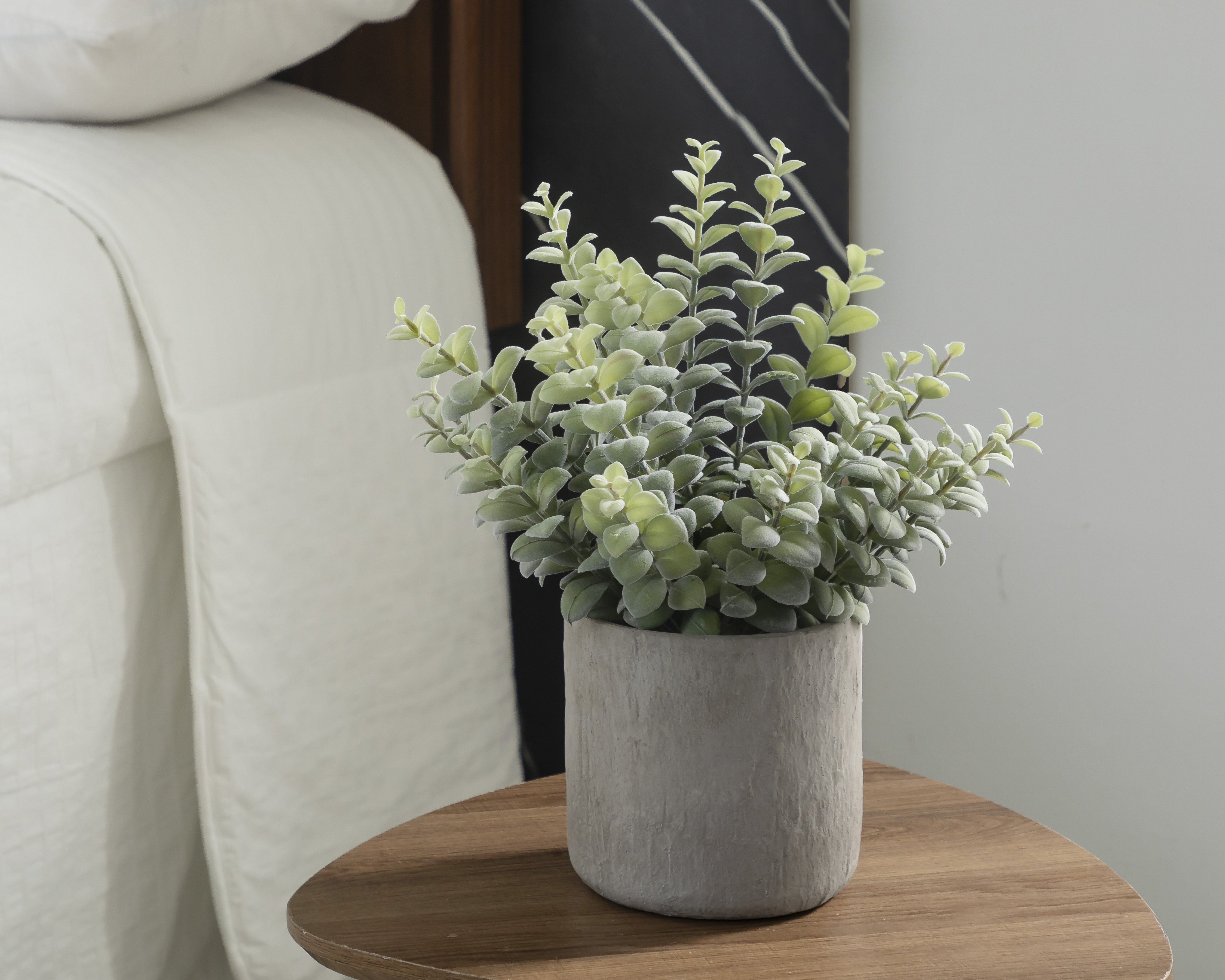 Foto 4 | Foto 4 | Suculenta Decorativa con Maceta Starhaus 36 cm