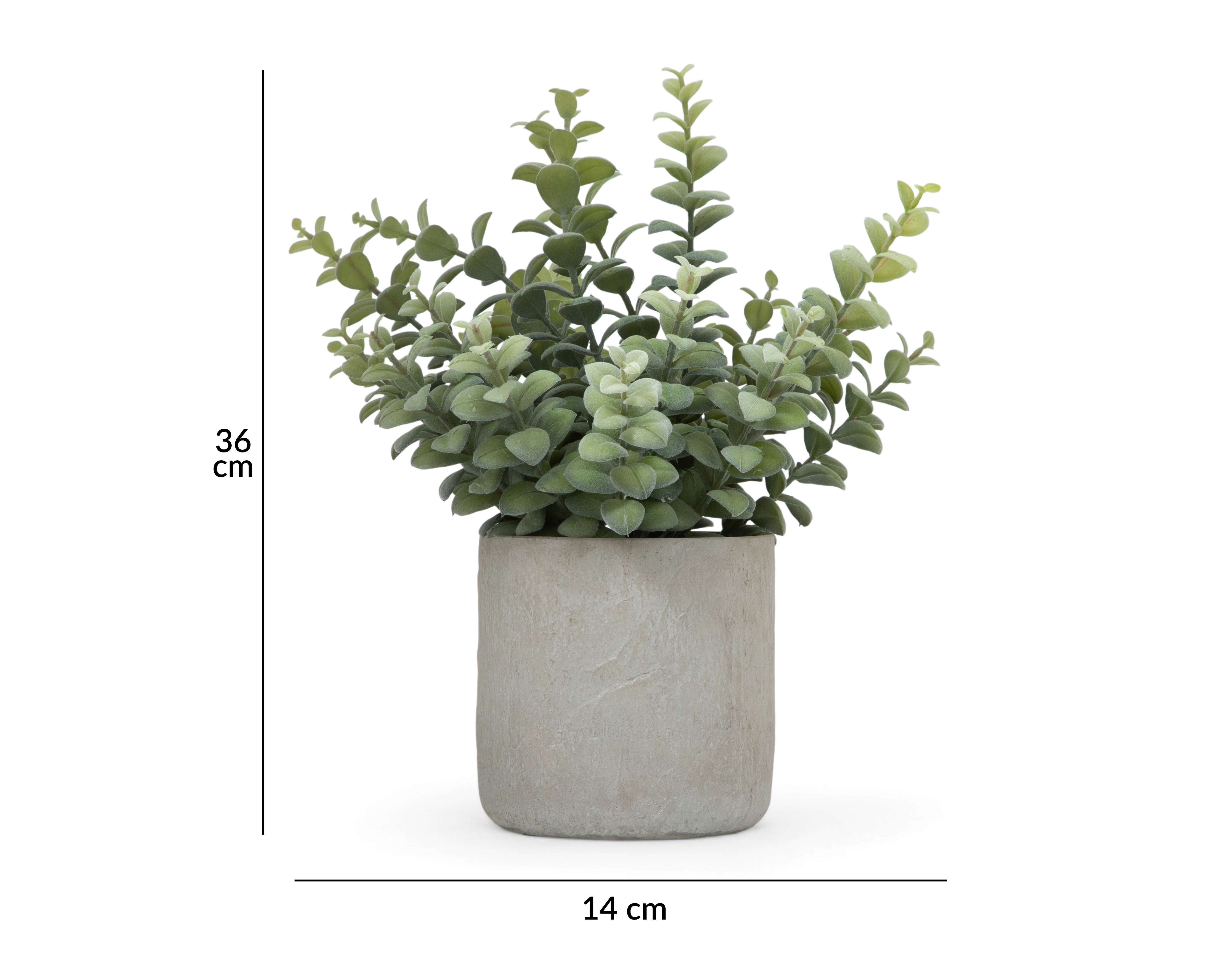 Foto 5 | Foto 5 | Suculenta Decorativa con Maceta Starhaus 36 cm