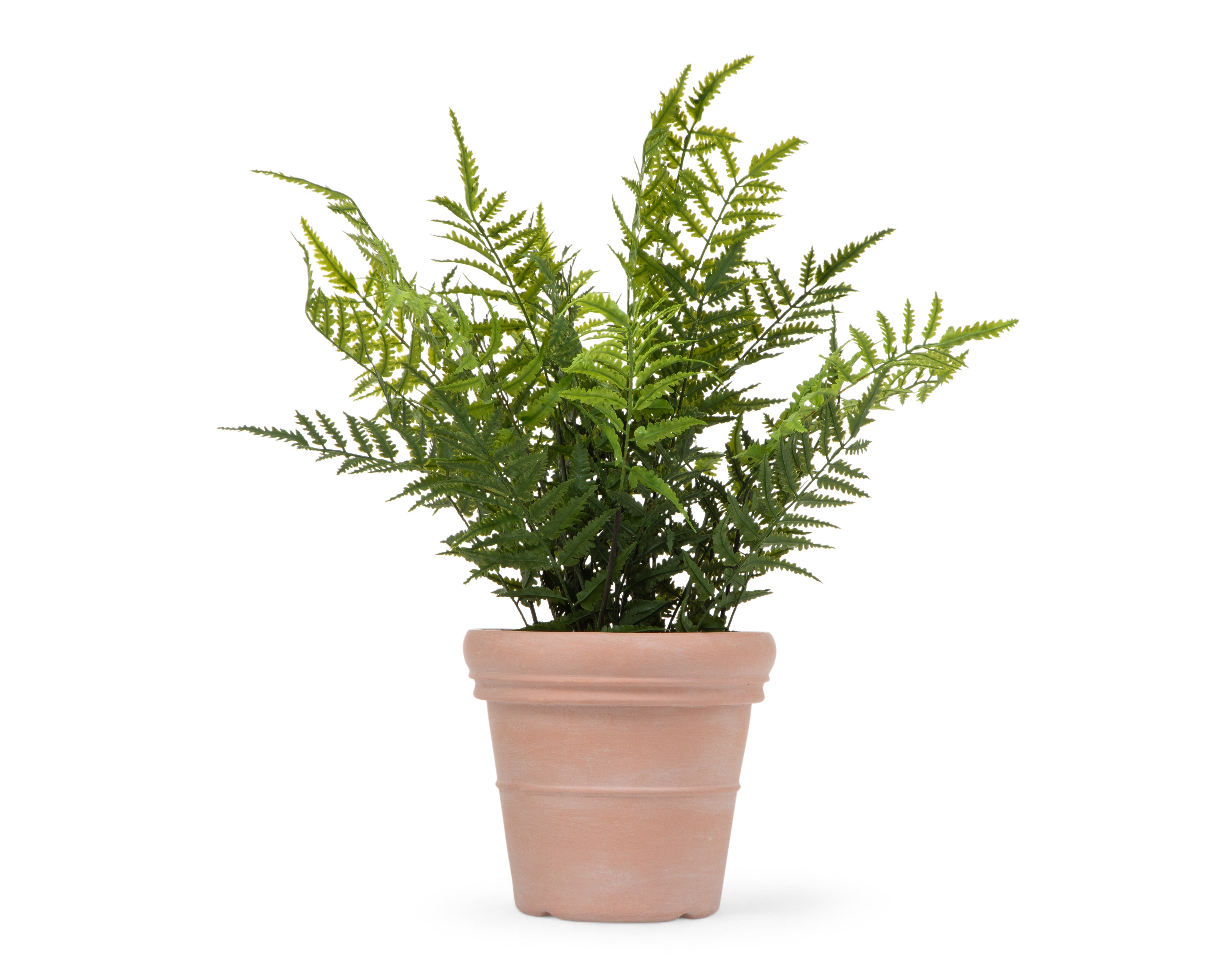 Helecho Artificial con Maceta Starhaus 63 cm