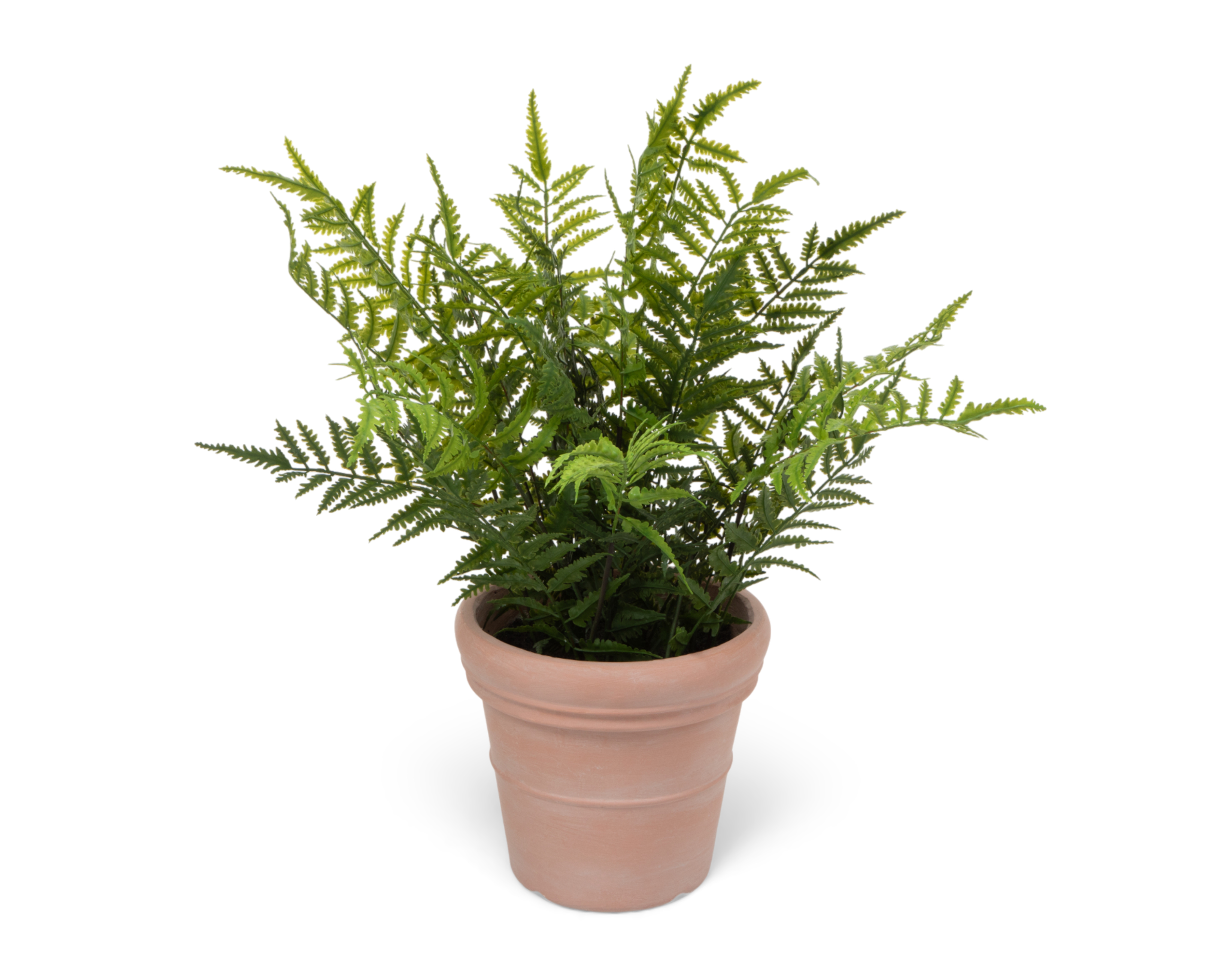 Foto 2 | Foto 2 | Helecho Artificial con Maceta Starhaus 63 cm