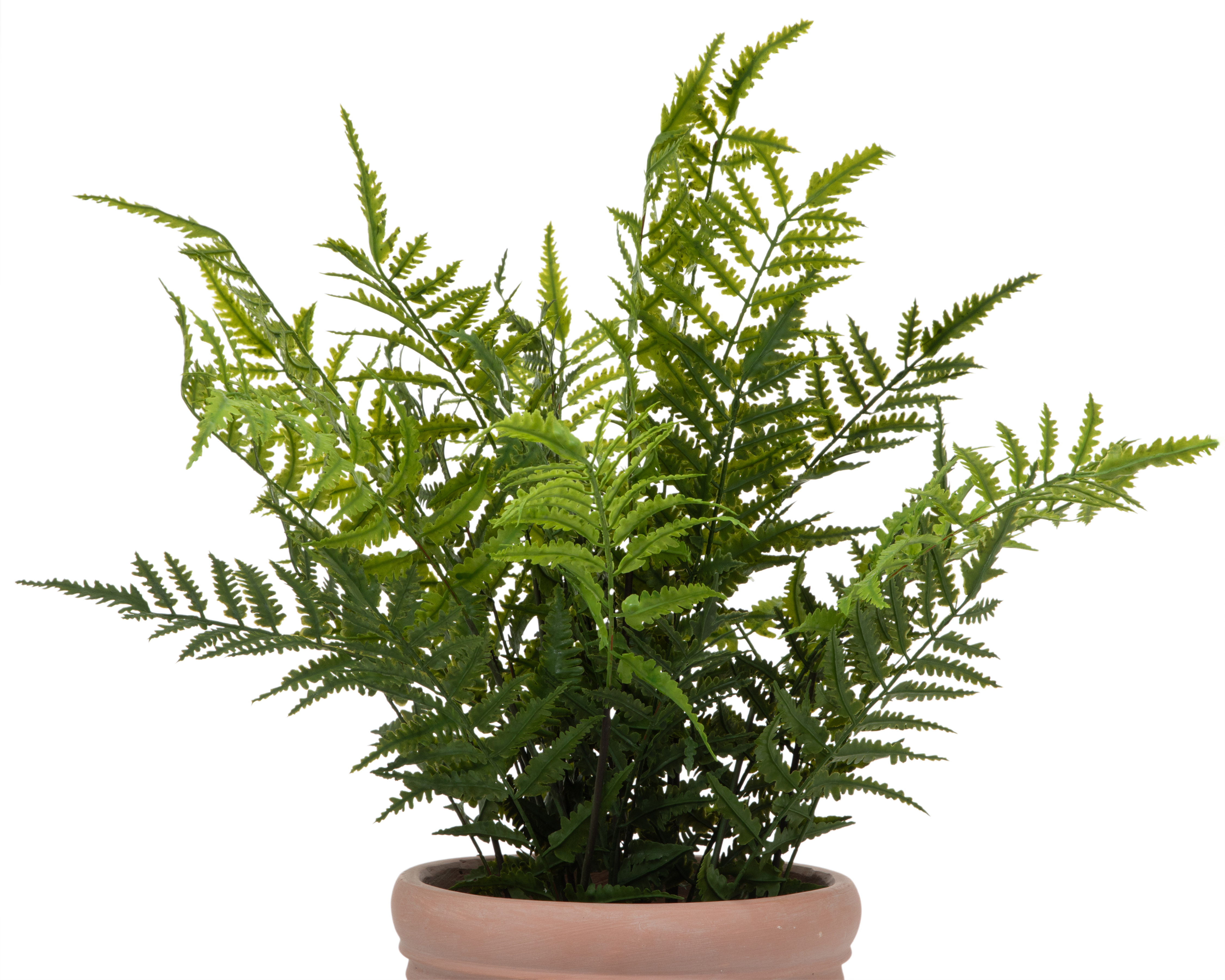 Foto 4 pulgar | Foto 3 | Helecho Artificial con Maceta Starhaus 63 cm