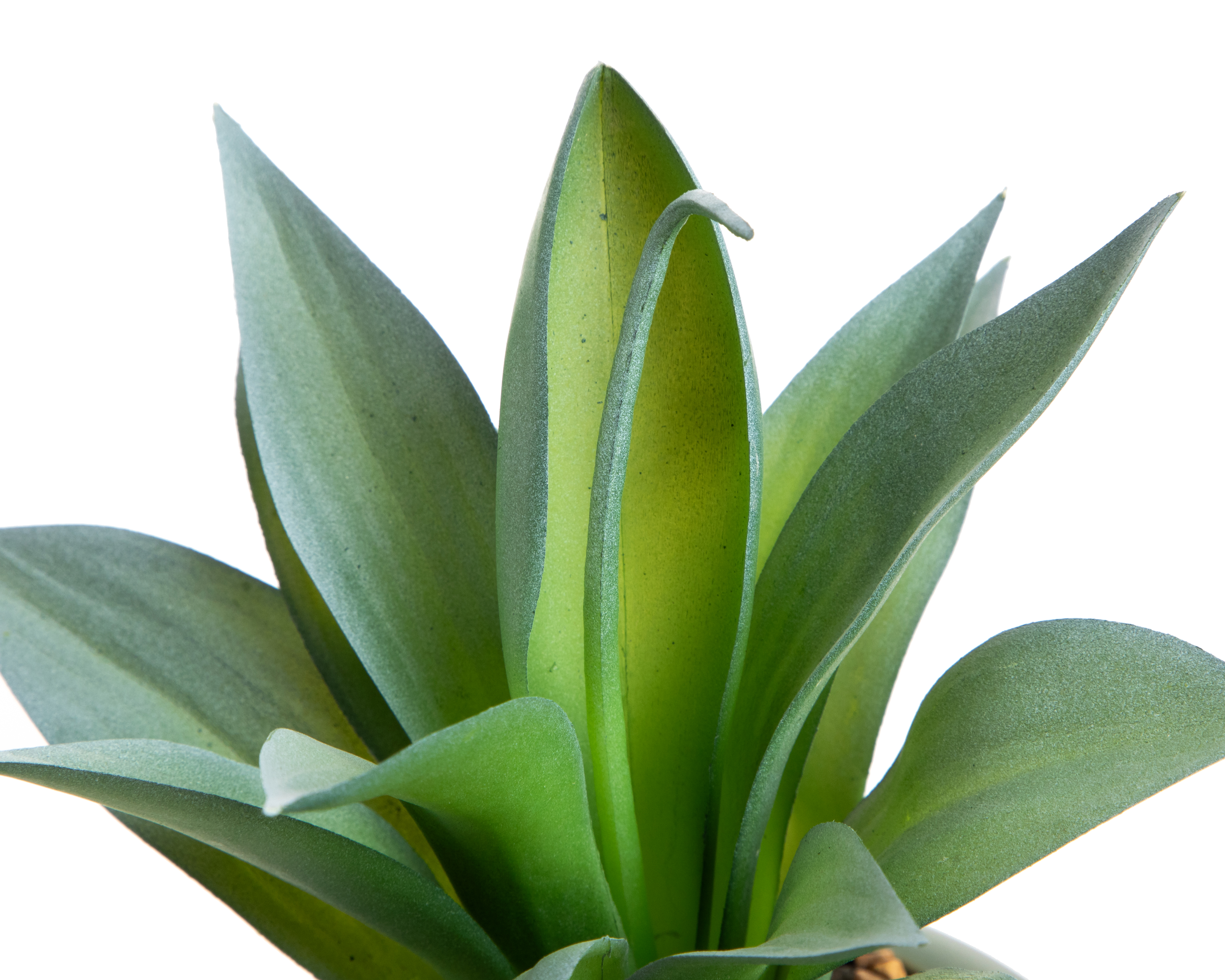 Foto 3 | Foto 3 | Planta Artificial con Maceta Starhaus 23 cm