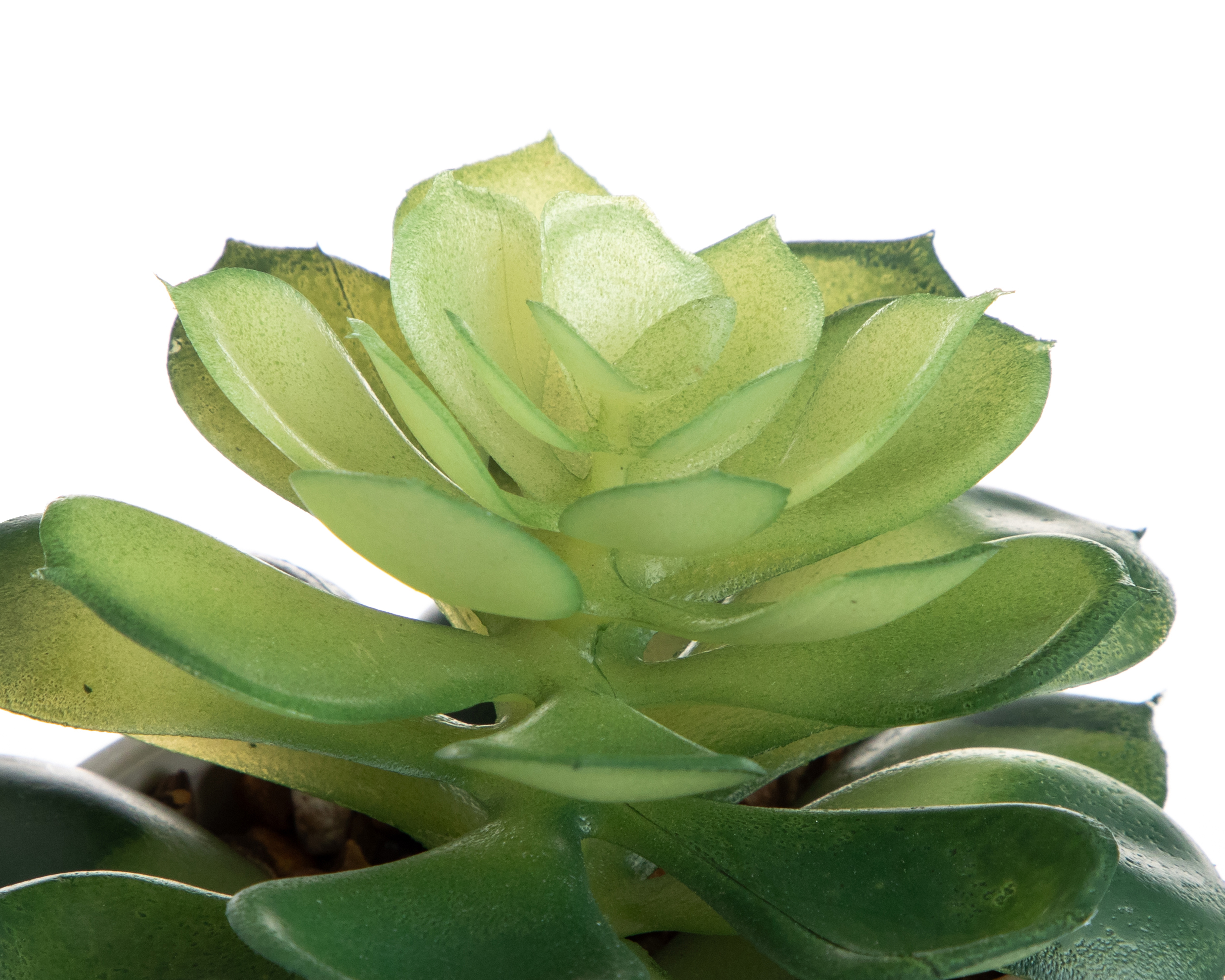 Foto 4 pulgar | Foto 3 | Planta Artificial con Maceta Starhaus 15 cm