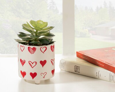 Foto 4 | Foto 4 | Planta Artificial con Maceta Starhaus 15 cm