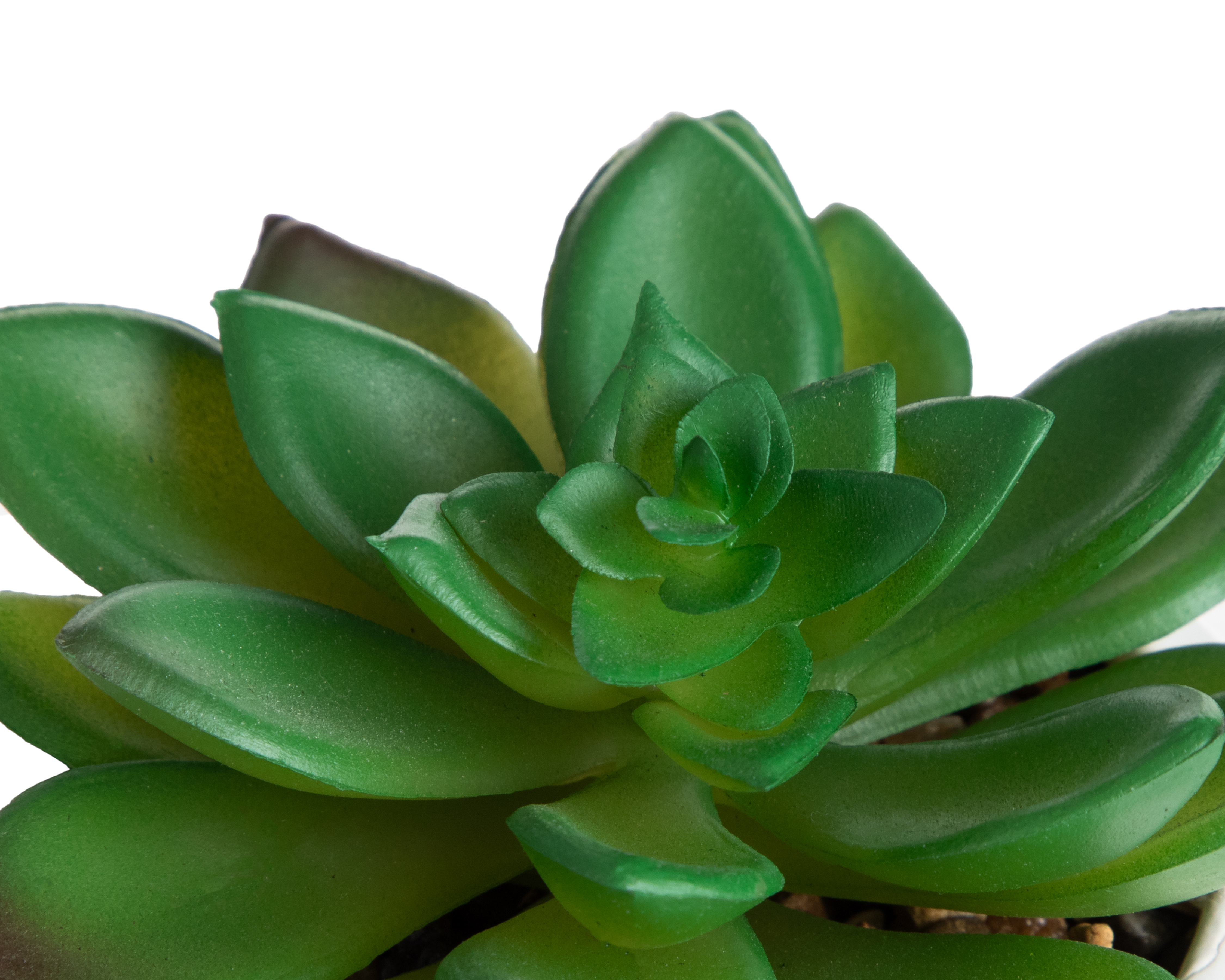 Foto 4 pulgar | Foto 3 | Suculenta Artificial con Maceta Starhaus 13 cm