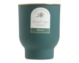 Vela Decorativa Lavanda y Jazmín