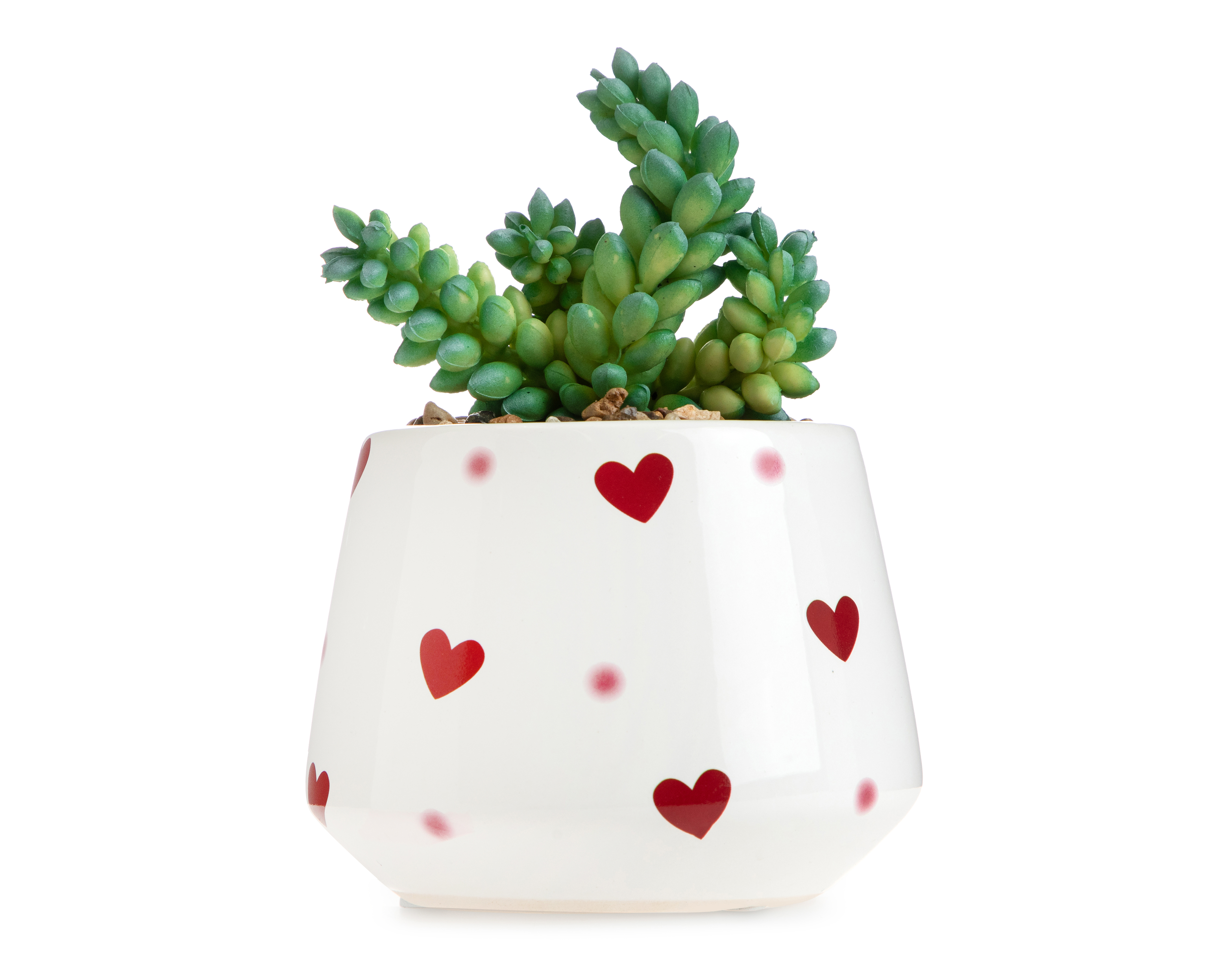 Suculenta Artificial con Maceta Starhaus 16 cm