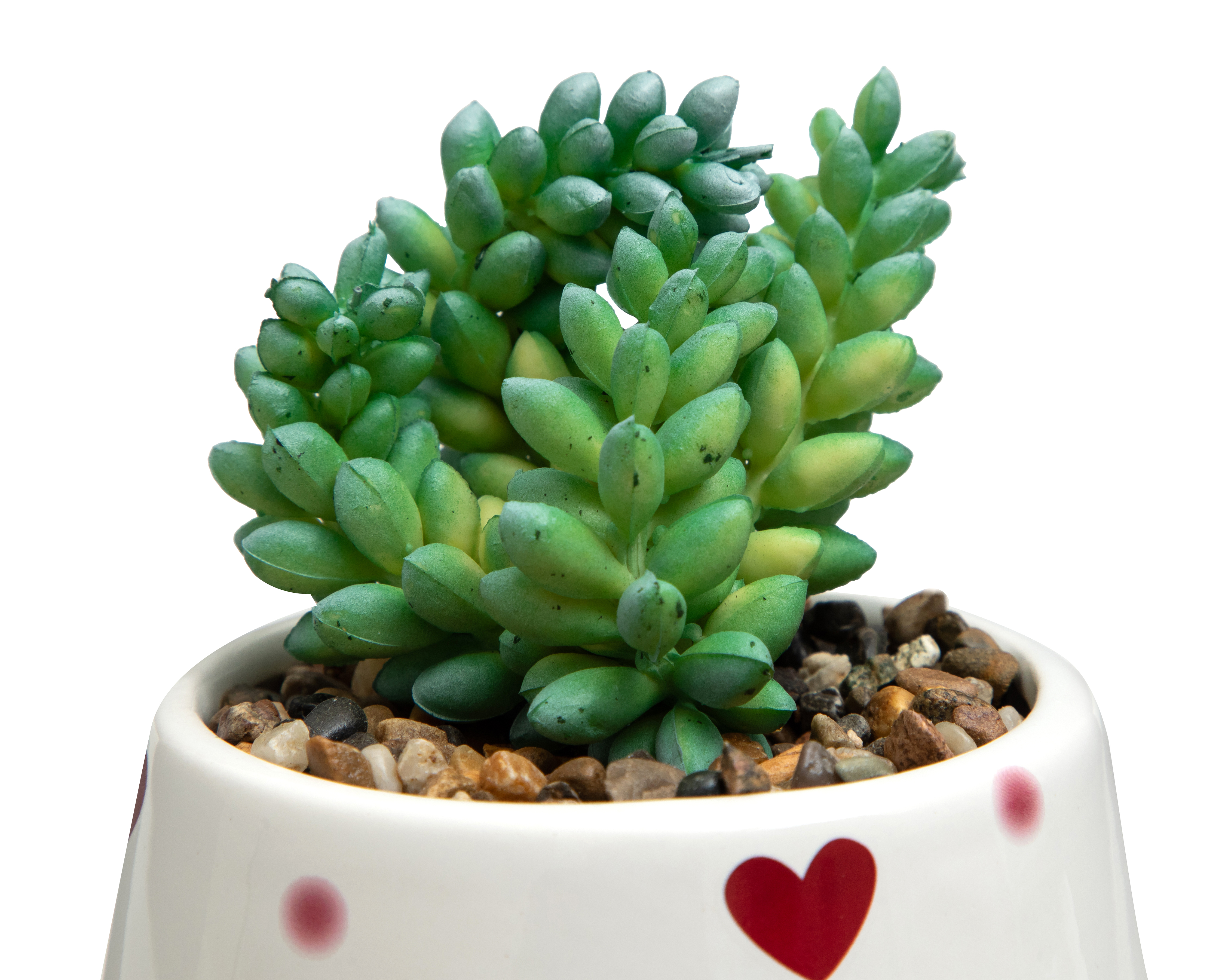 Foto 4 pulgar | Foto 3 | Suculenta Artificial con Maceta Starhaus 16 cm