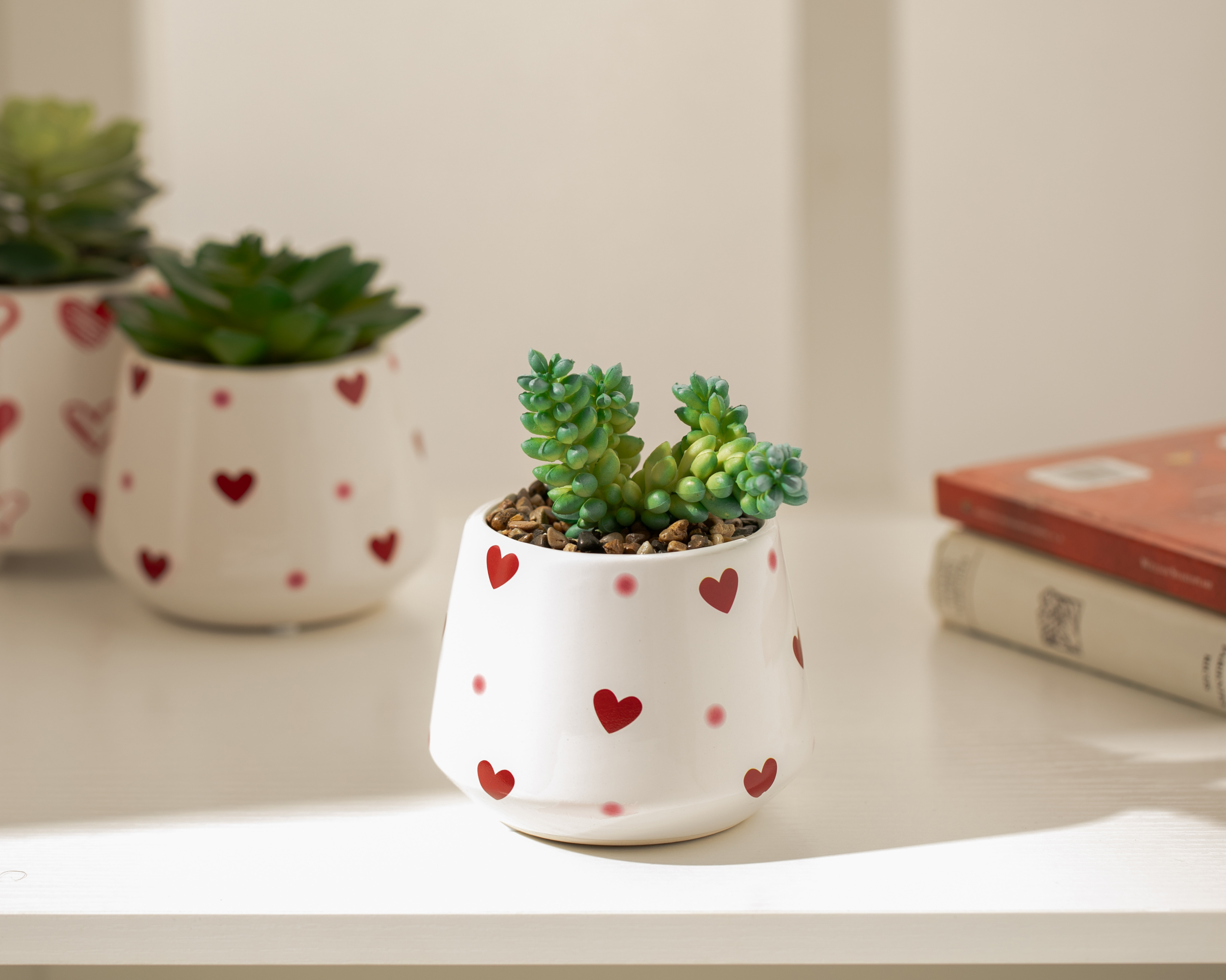 Foto 4 | Foto 4 | Suculenta Artificial con Maceta Starhaus 16 cm