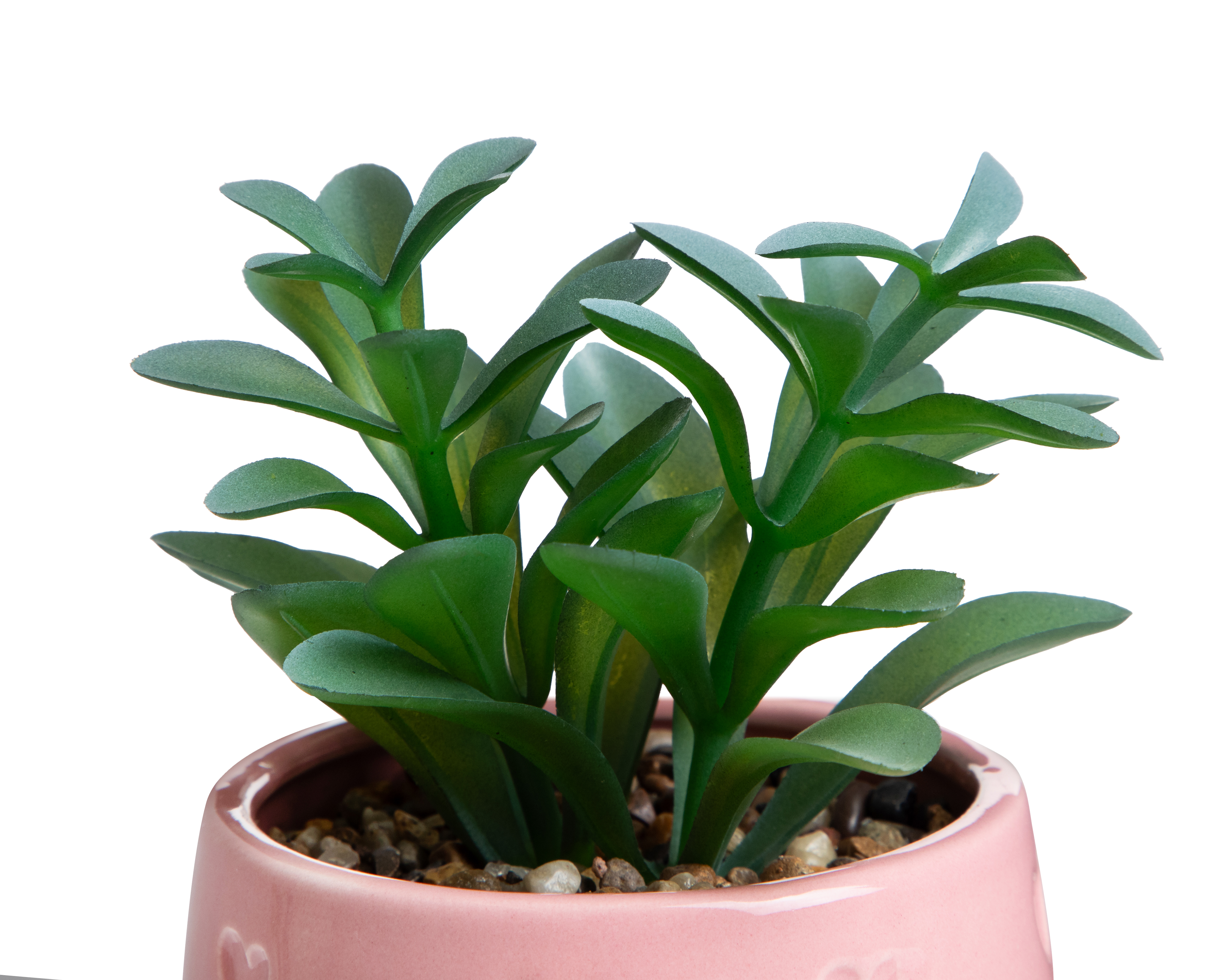 Foto 3 | Foto 3 | Suculenta Artificial con Maceta Starhaus 18 cm