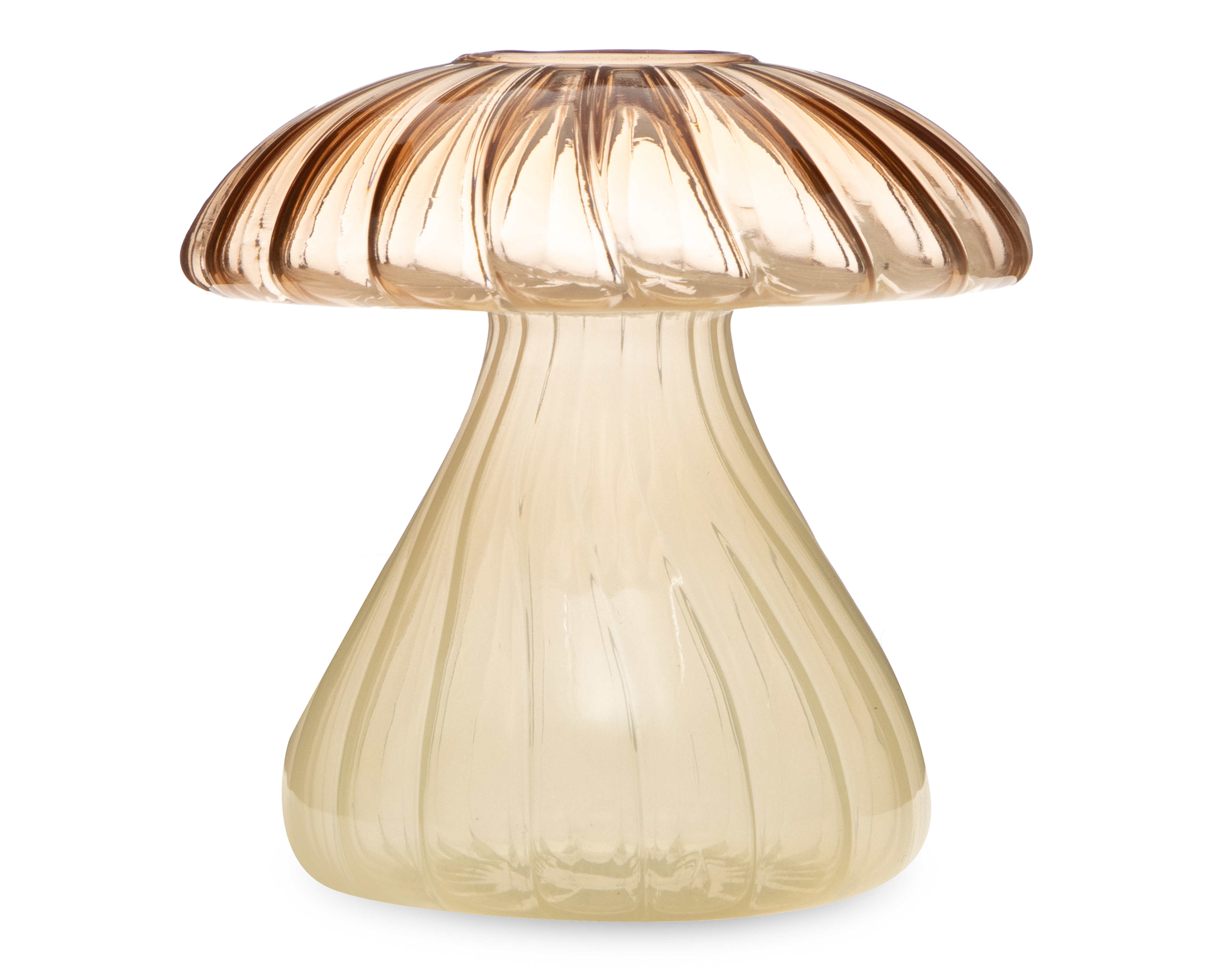 Foto 2 | Foto 2 | Difusor Aromático Starhaus Citrus Rock Orchid