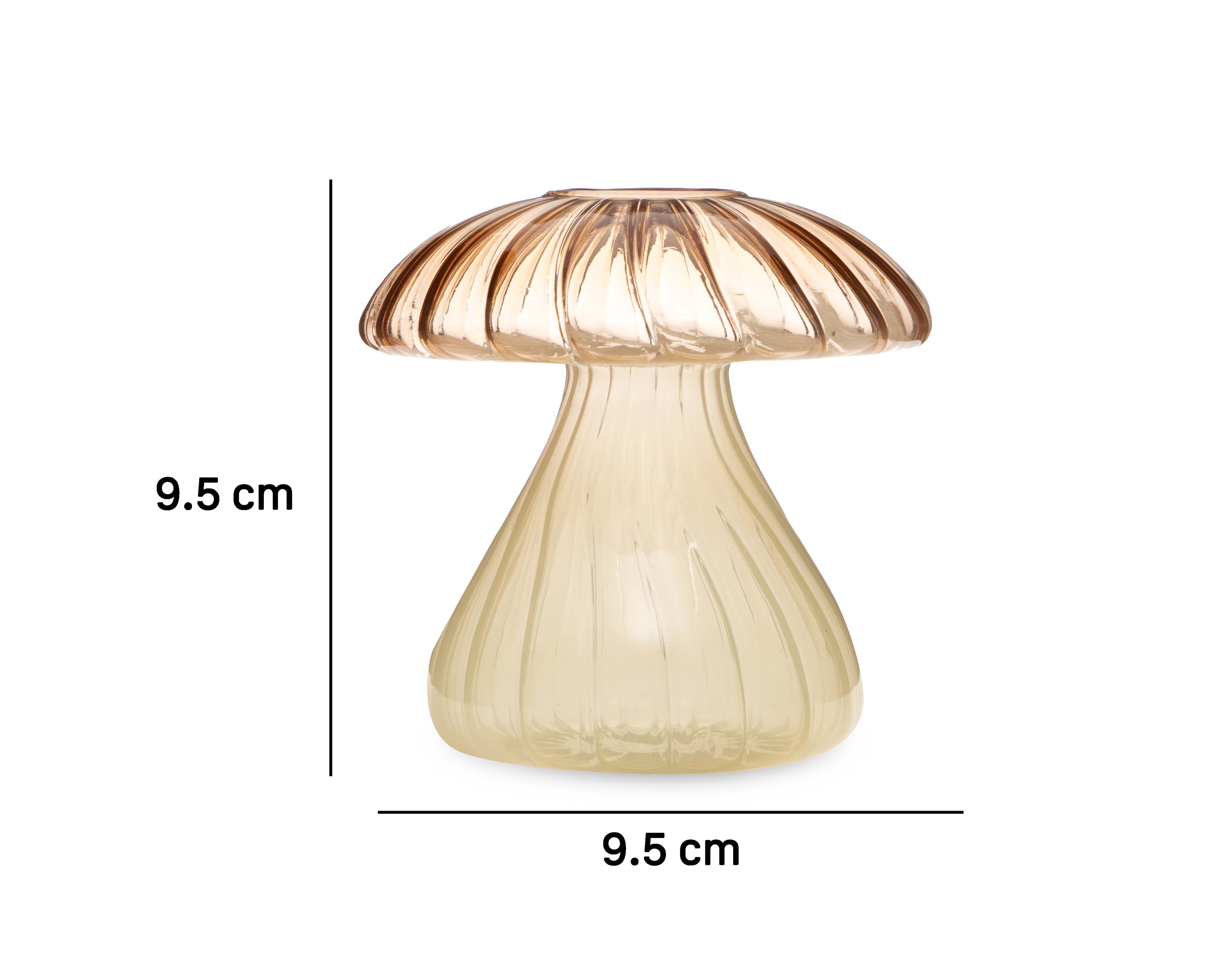 Foto 6 | Foto 6 | Difusor Aromático Starhaus Citrus Rock Orchid