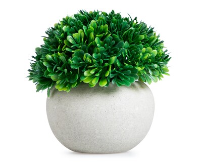 Foto 1 | Foto 1 | Suculenta Artificial Starhaus Hinata 14 cm