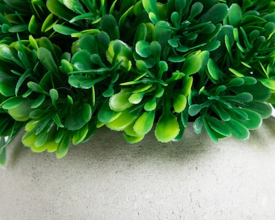 Foto 3 | Foto 3 | Suculenta Artificial Starhaus Hinata 14 cm