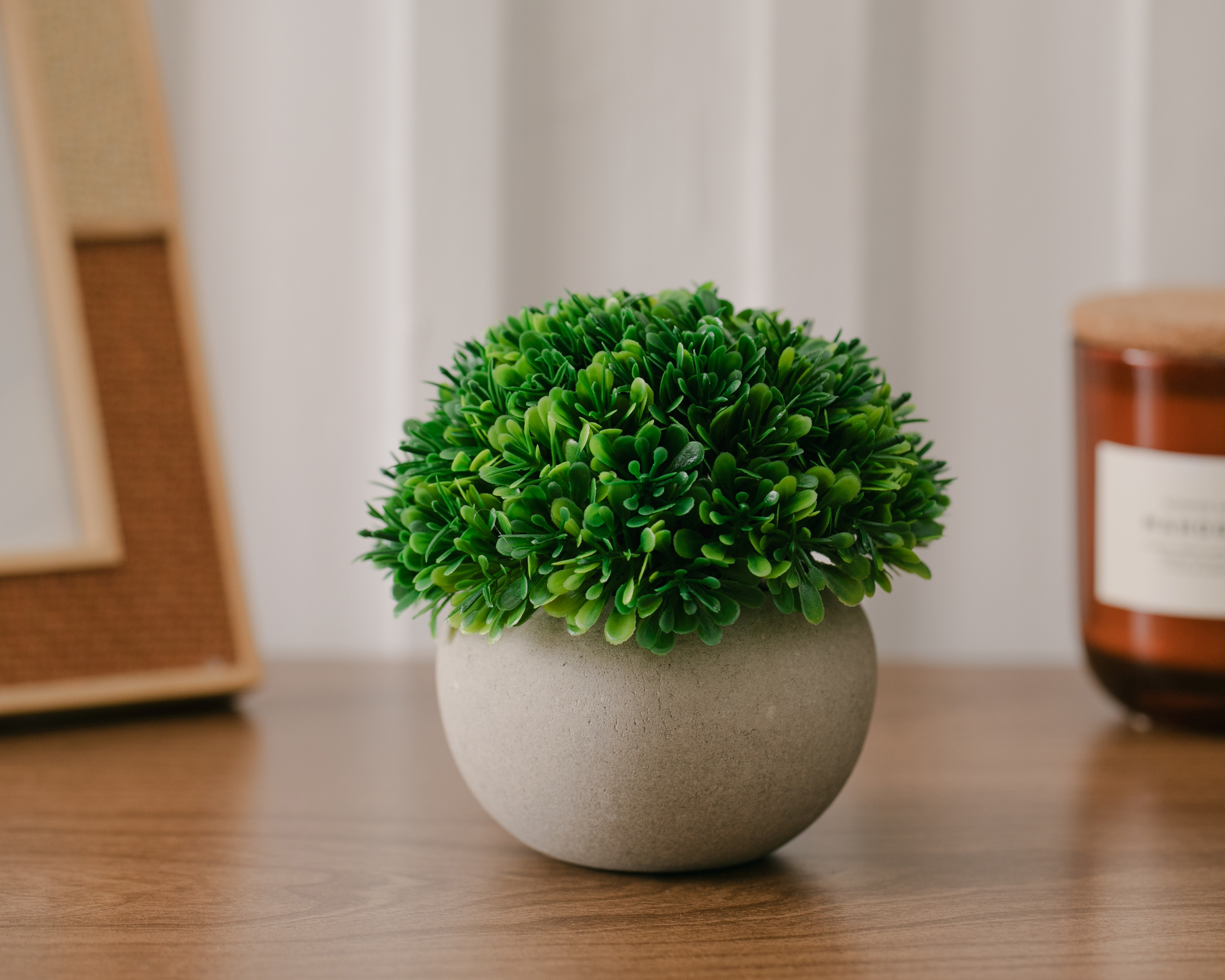 Foto 4 | Foto 4 | Suculenta Artificial Starhaus Hinata 14 cm