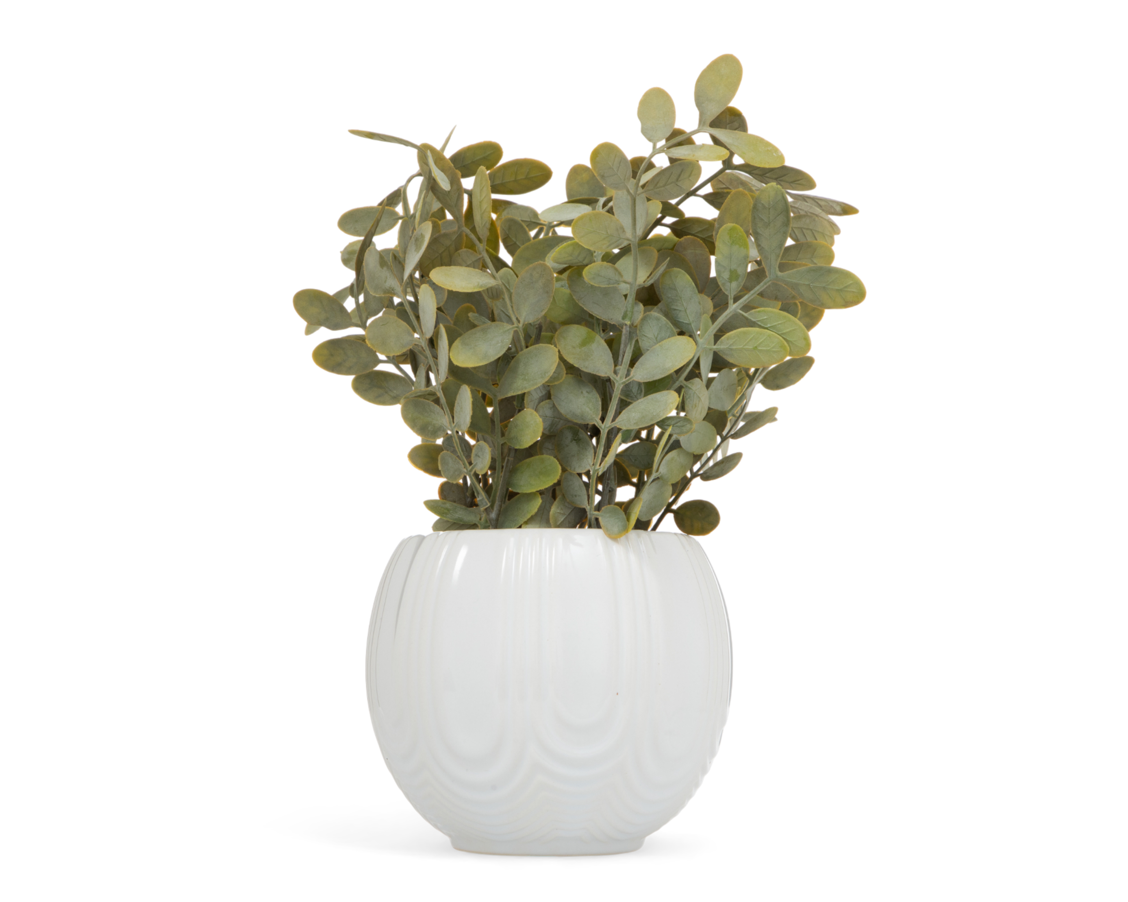 Eucalipto Artificial con Maceta Starhaus 28 cm