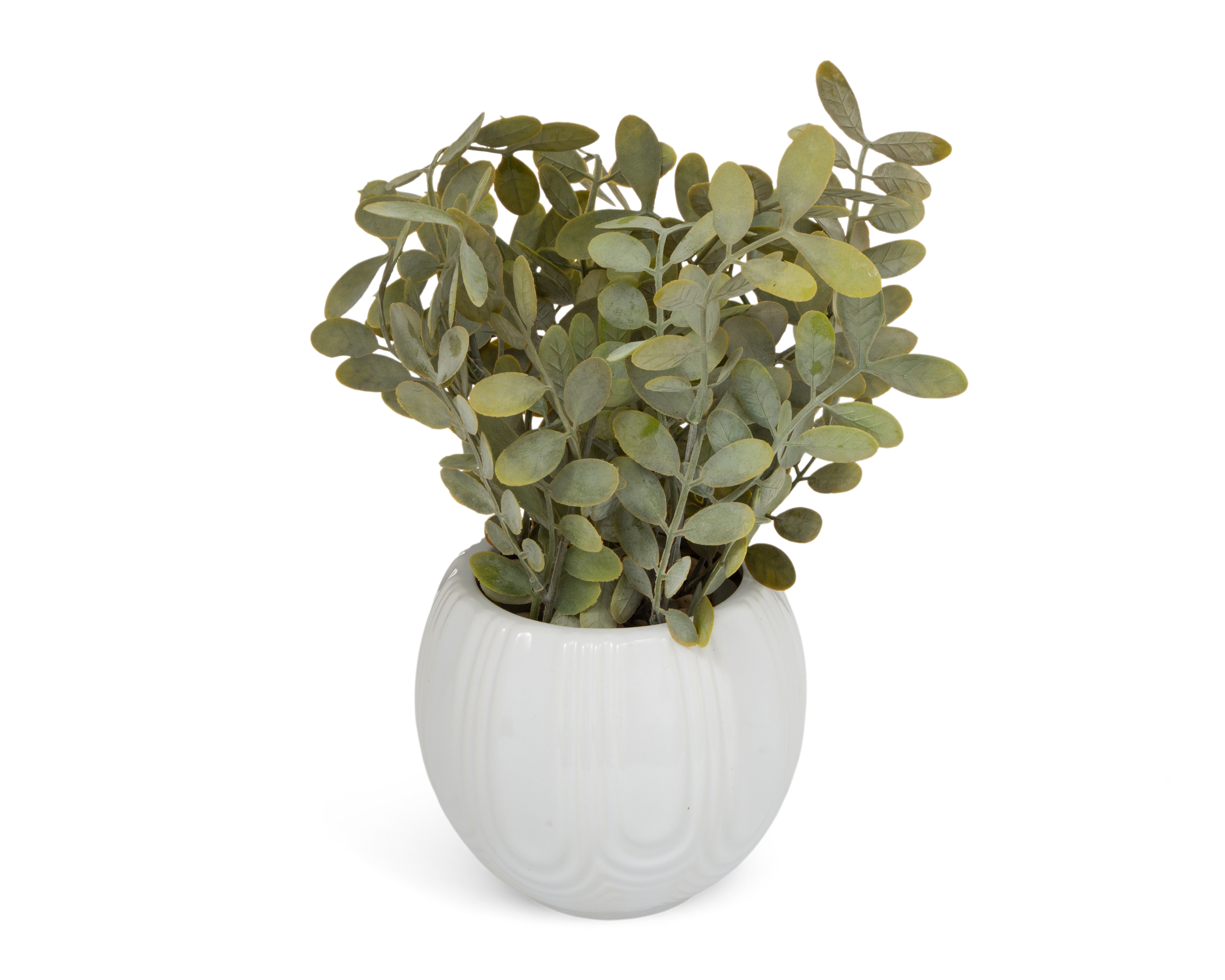 Foto 2 | Foto 2 | Eucalipto Artificial con Maceta Starhaus 28 cm