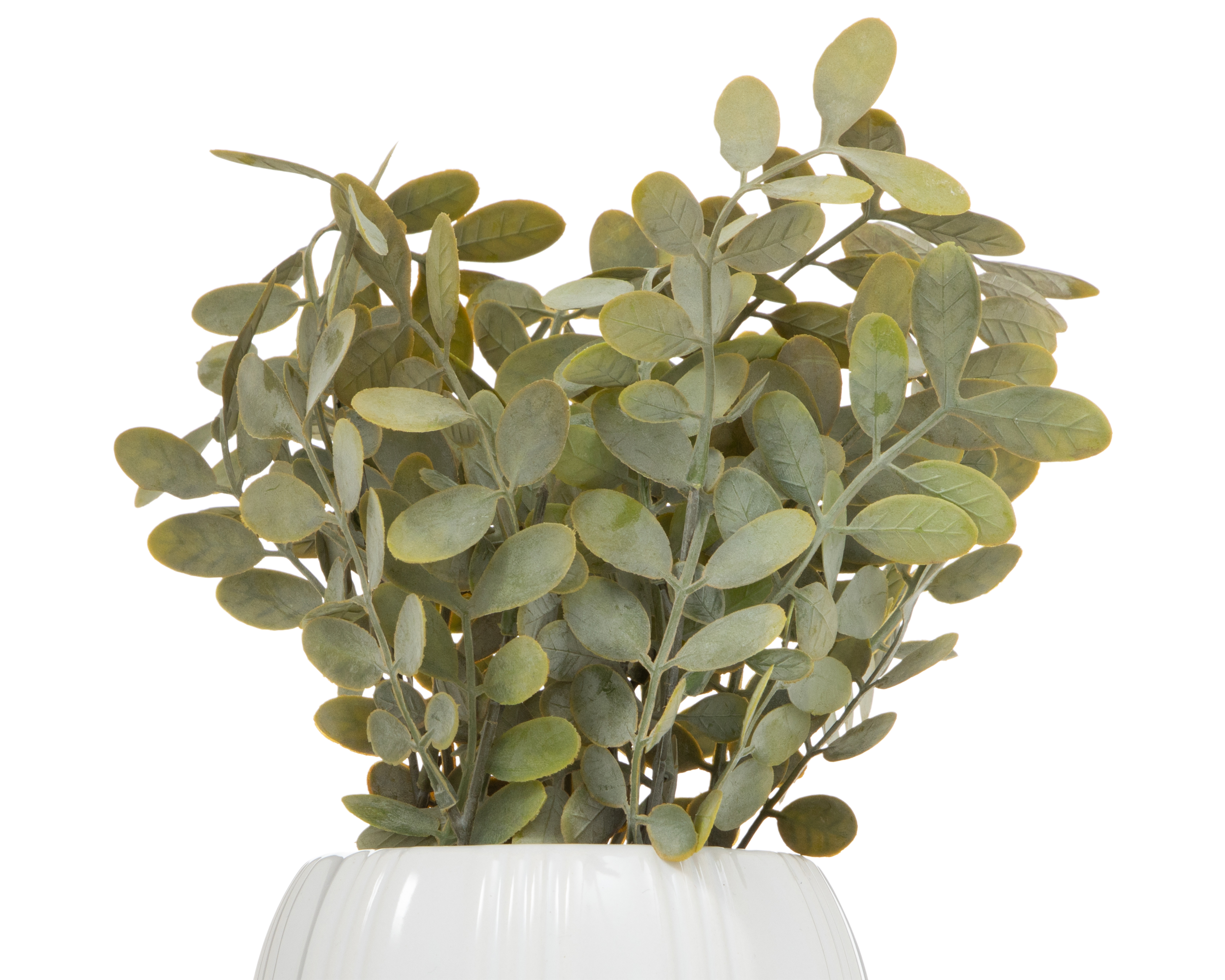 Foto 3 | Foto 3 | Eucalipto Artificial con Maceta Starhaus 28 cm