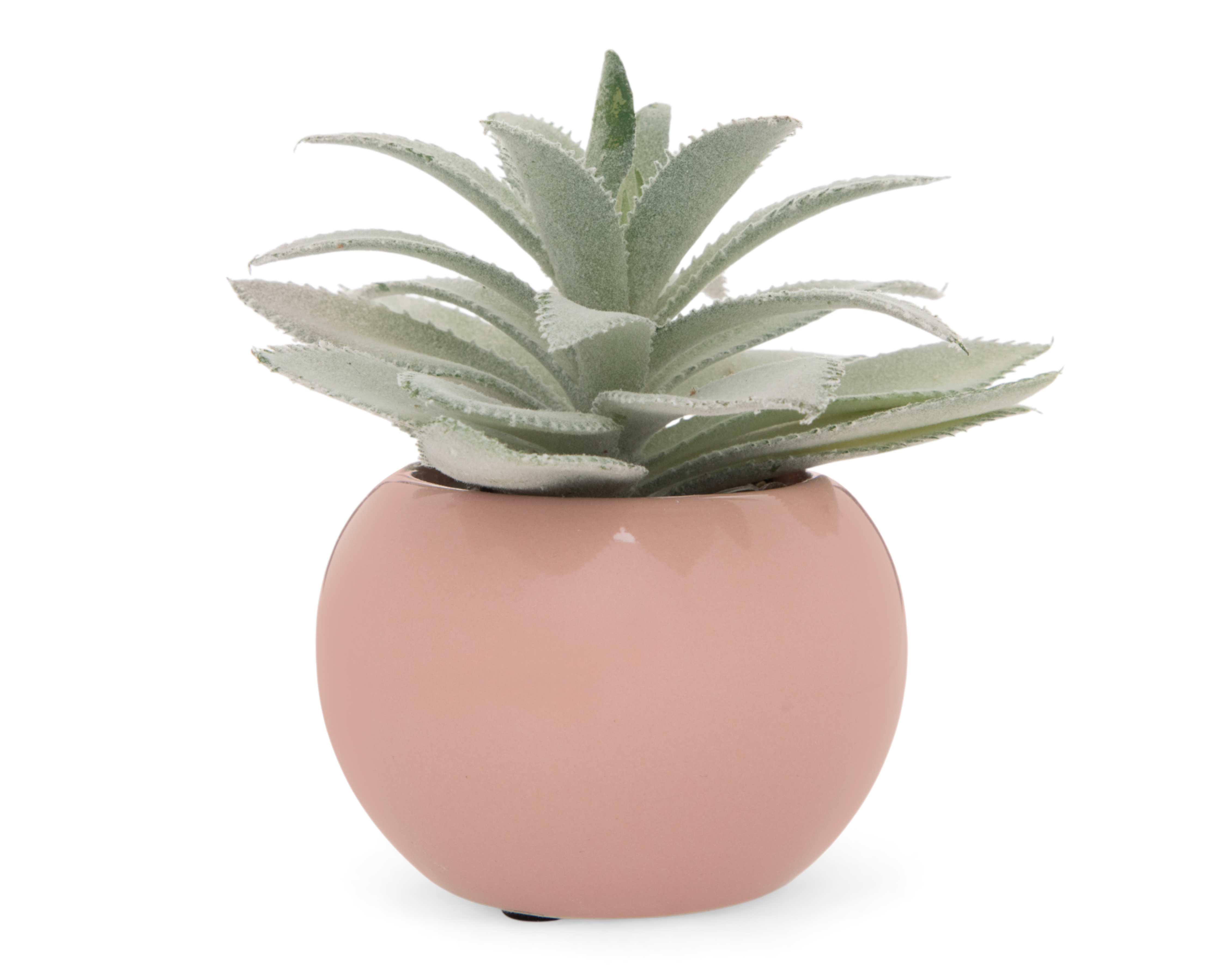 Suculenta Artificial con Maceta Starhaus 14 cm