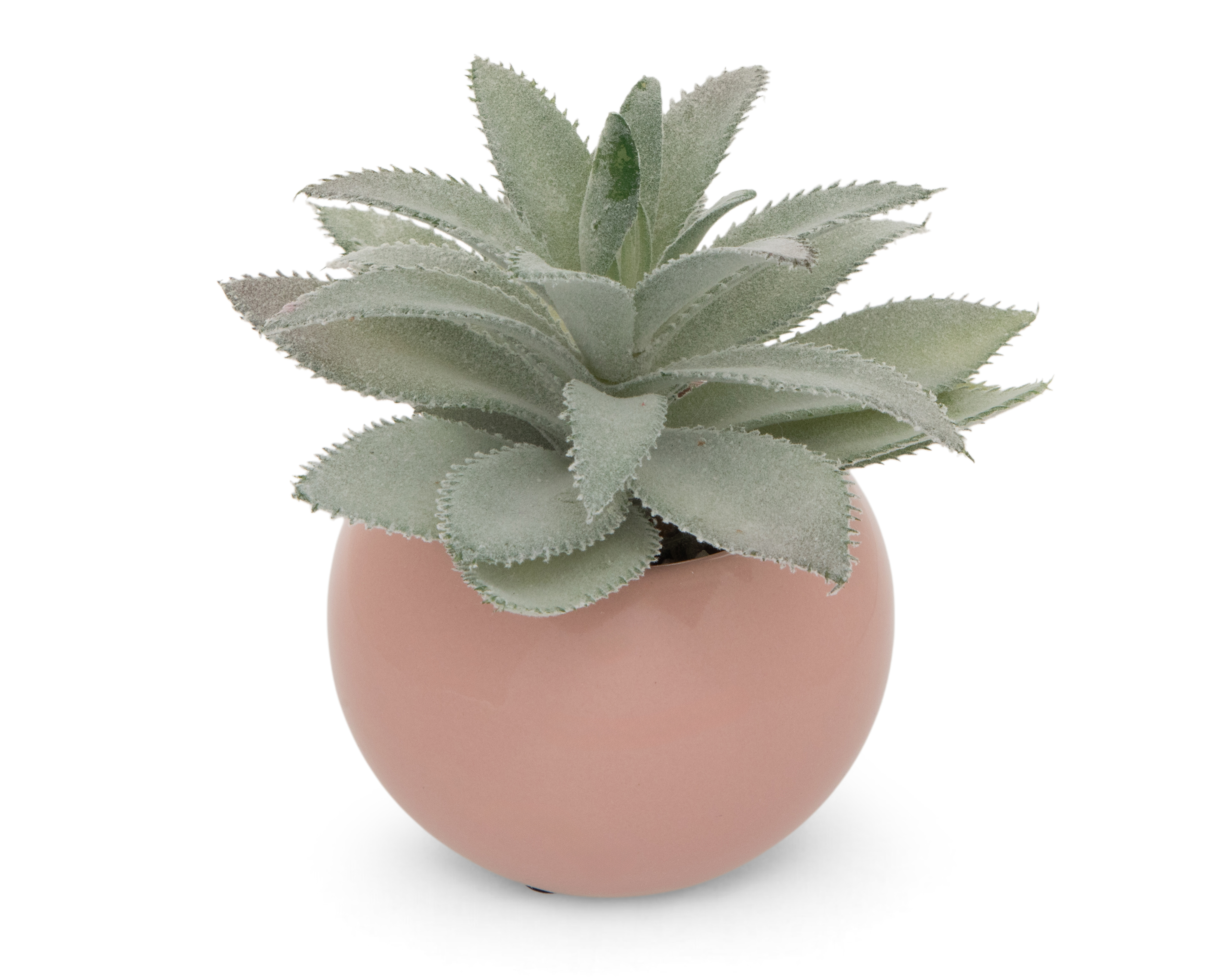 Foto 2 | Foto 2 | Suculenta Artificial con Maceta Starhaus 14 cm