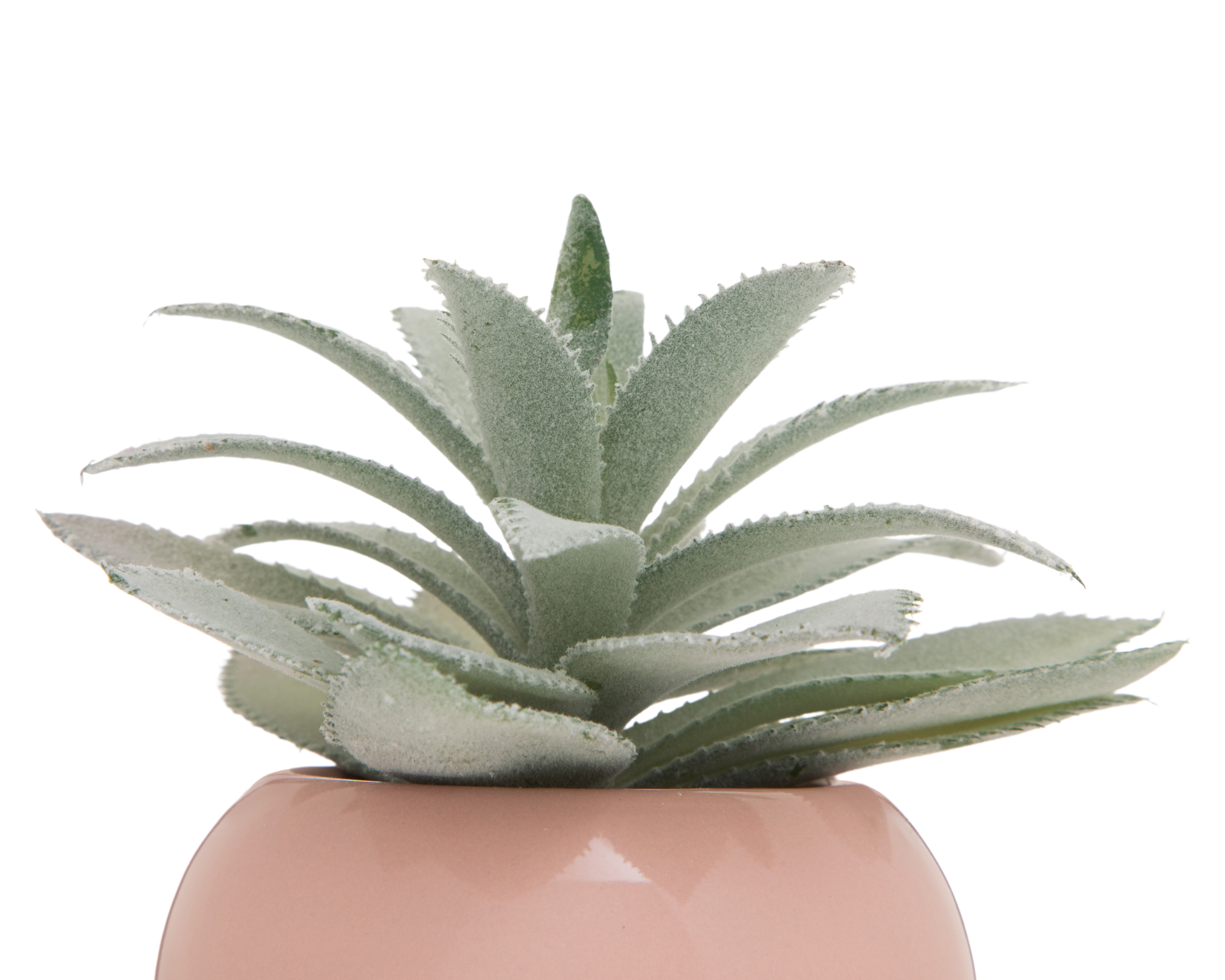 Foto 4 pulgar | Foto 3 | Suculenta Artificial con Maceta Starhaus 14 cm