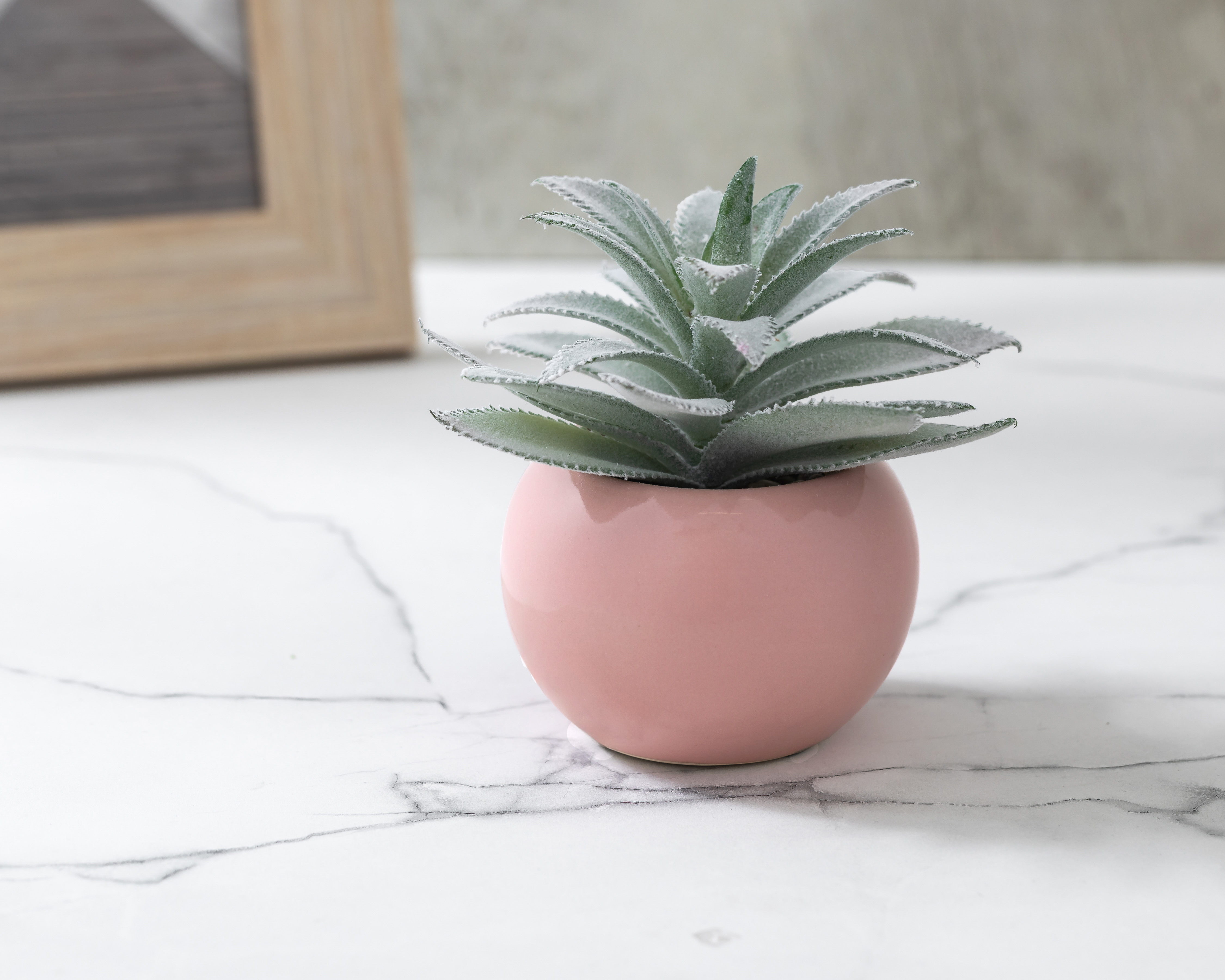 Foto 5 pulgar | Foto 4 | Suculenta Artificial con Maceta Starhaus 14 cm