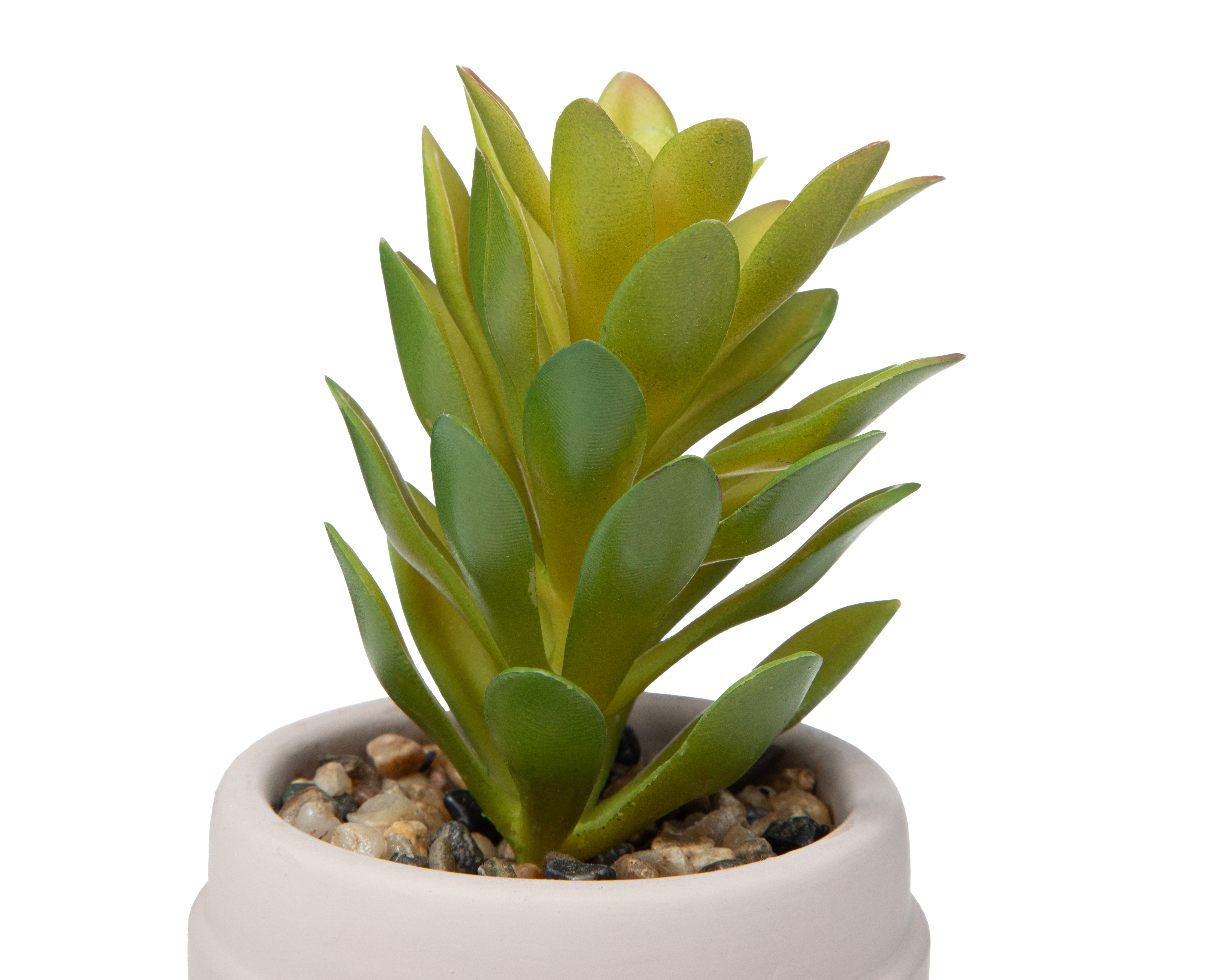 Foto 4 pulgar | Foto 3 | Suculenta Artificial con Maceta Starhaus 15 cm