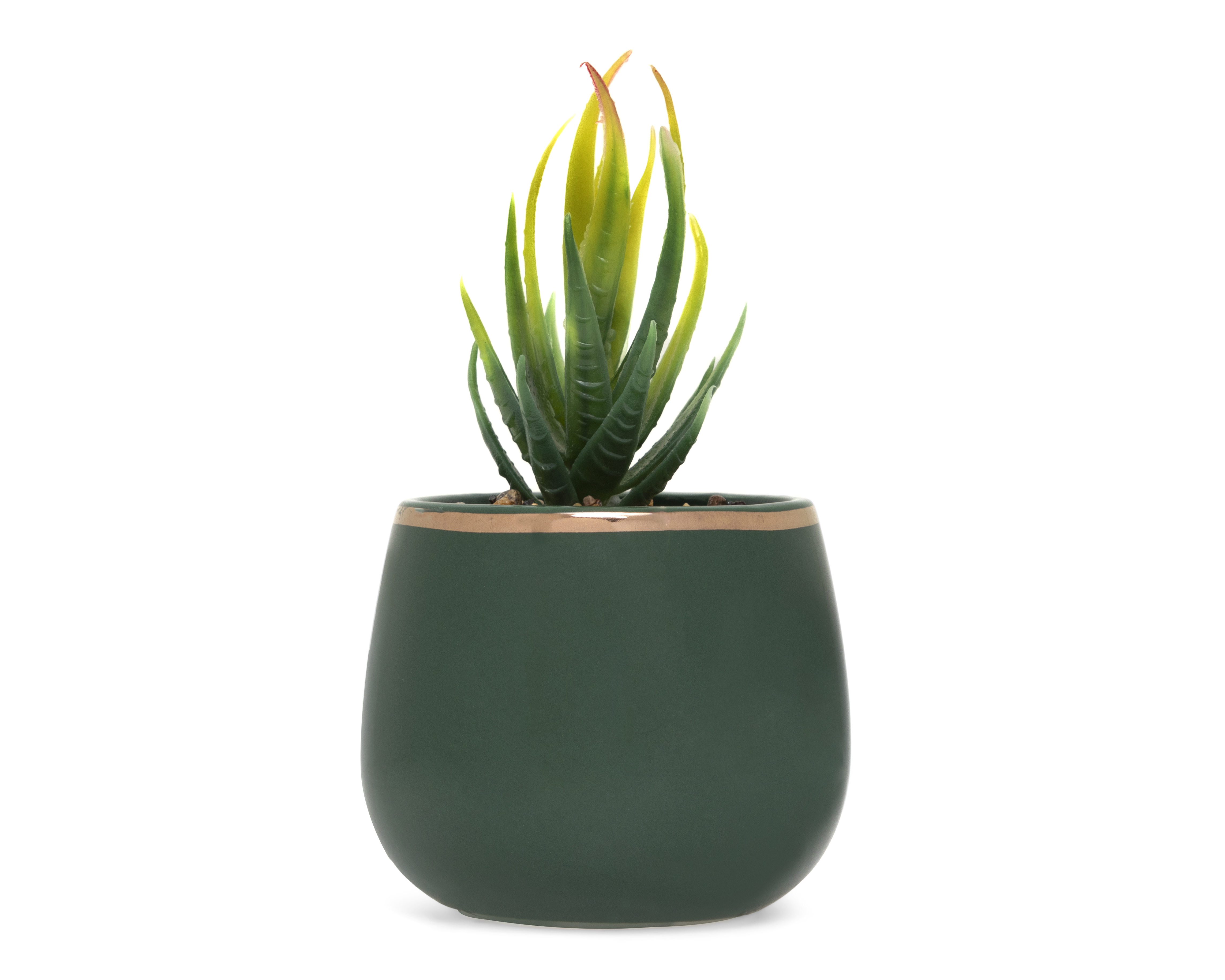 Foto 1 | Foto 1 | Planta Artificial con Maceta Starhaus 12 cm