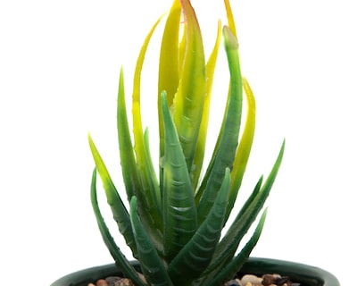 Foto 3 | Foto 3 | Planta Artificial con Maceta Starhaus 12 cm
