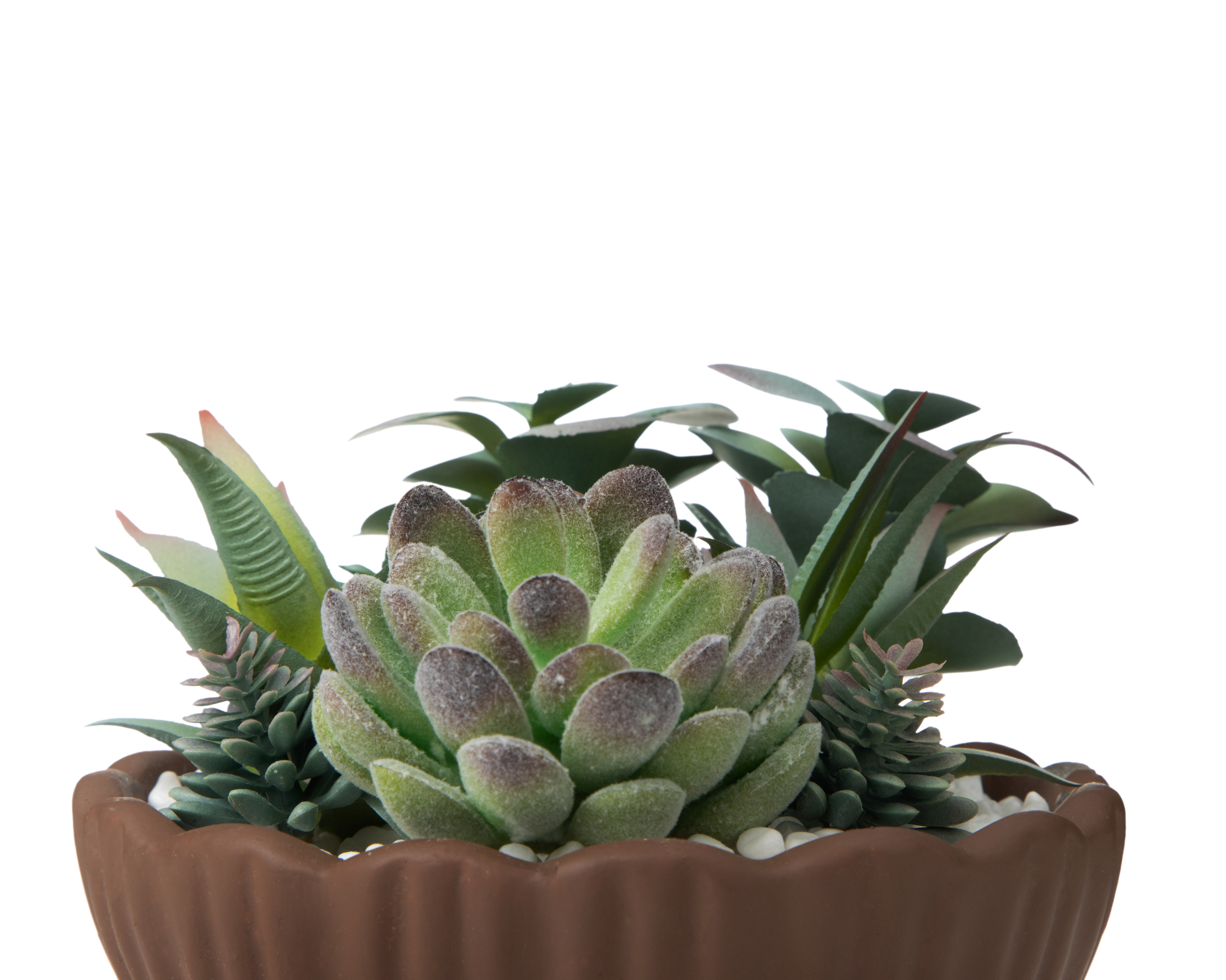 Foto 3 | Foto 3 | Planta Artificial con Maceta Starhaus 13 cm