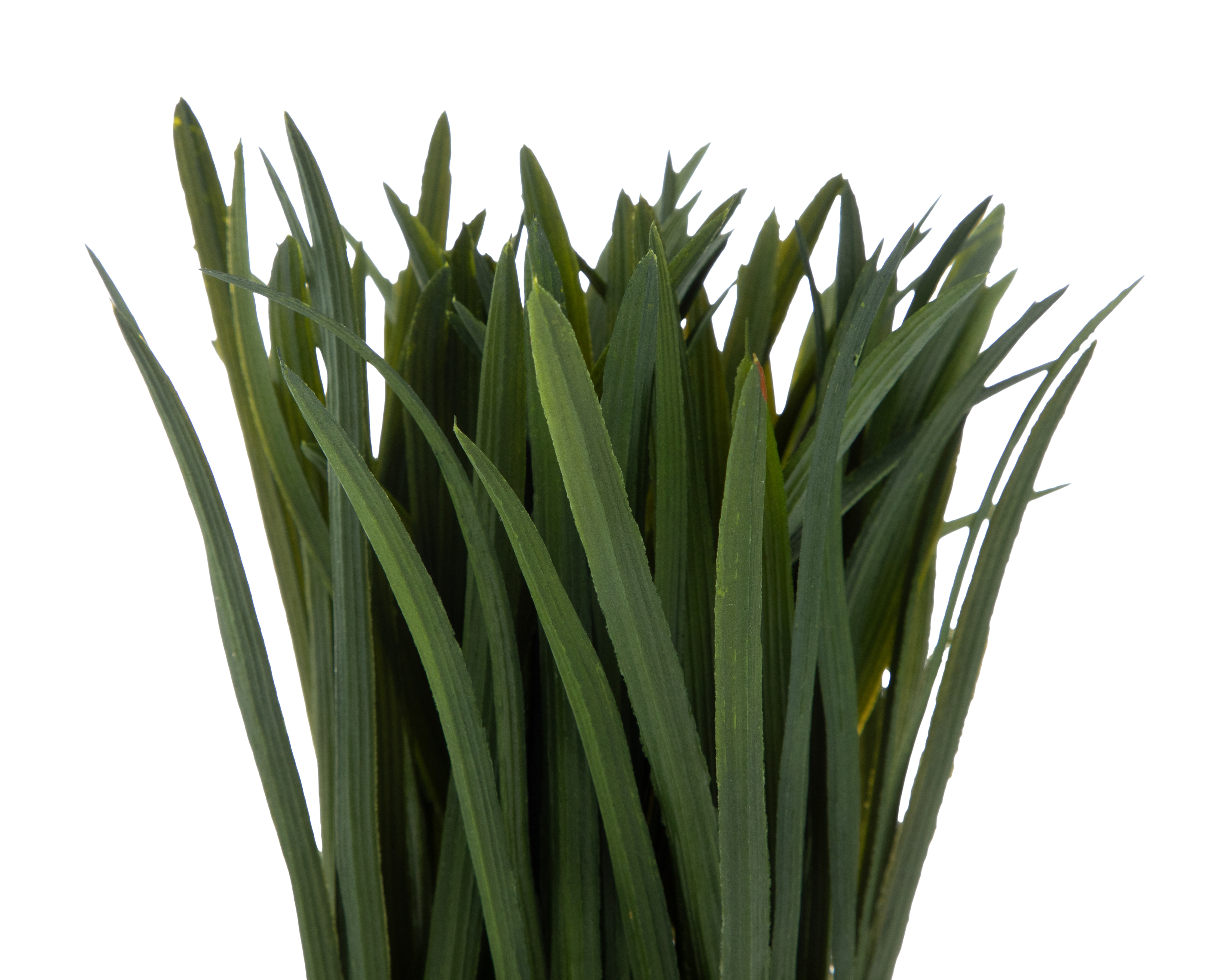 Foto 4 pulgar | Foto 3 | Césped Largo Artificial con Maceta Starhaus 13.5 cm