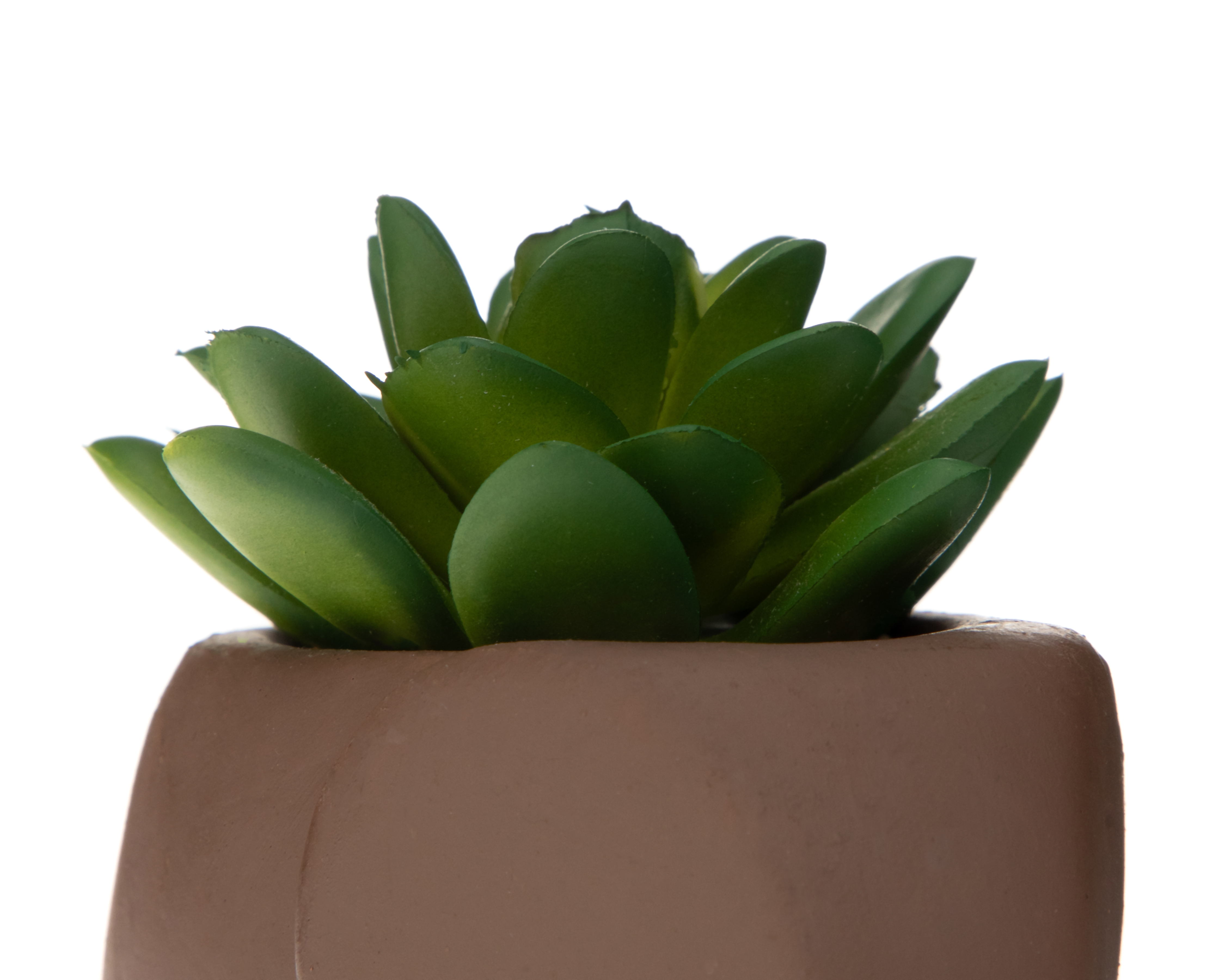 Foto 4 pulgar | Foto 3 | Suculenta Artificial con Maceta Starhaus 11 cm