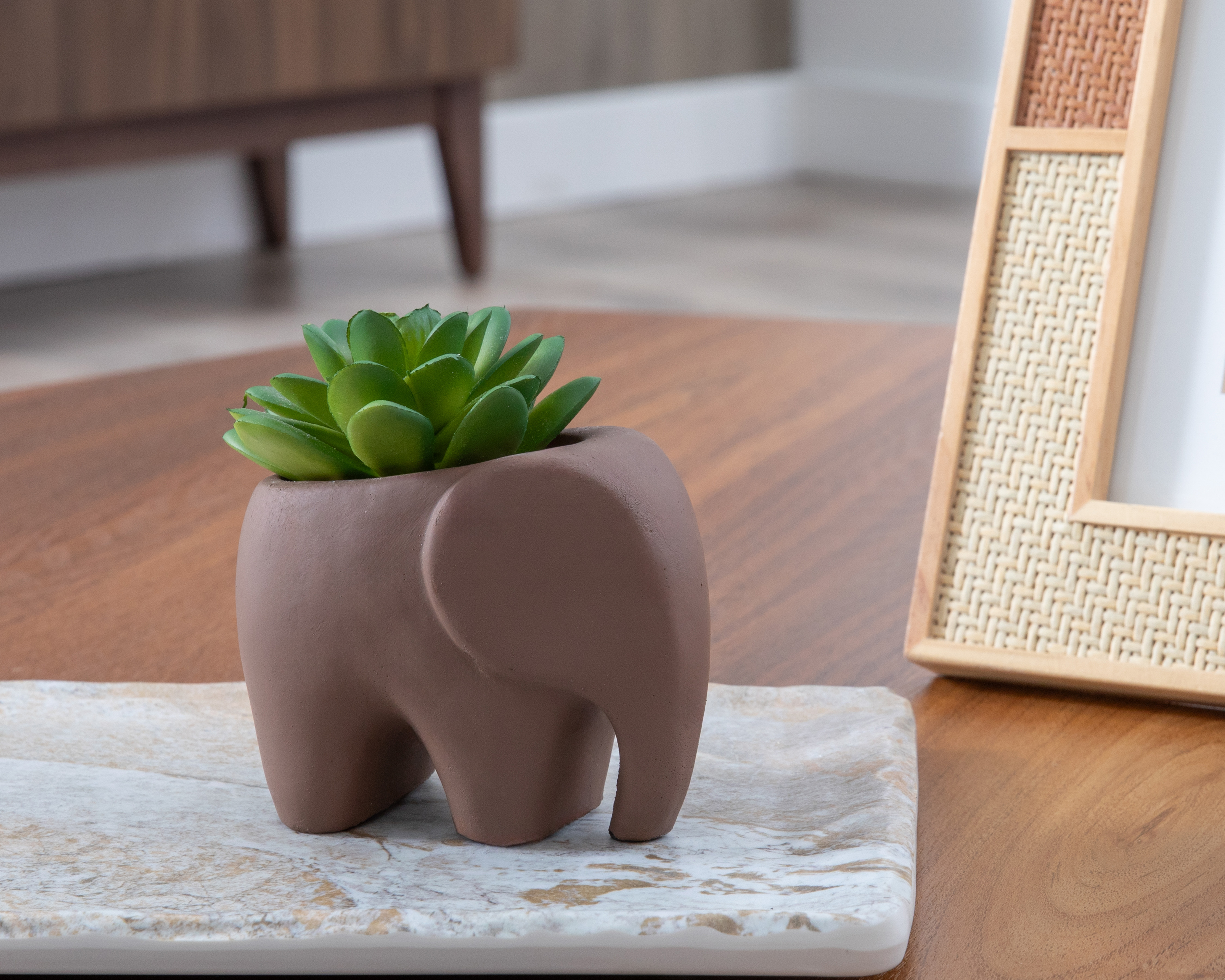 Foto 4 | Foto 4 | Suculenta Artificial con Maceta Starhaus 11 cm